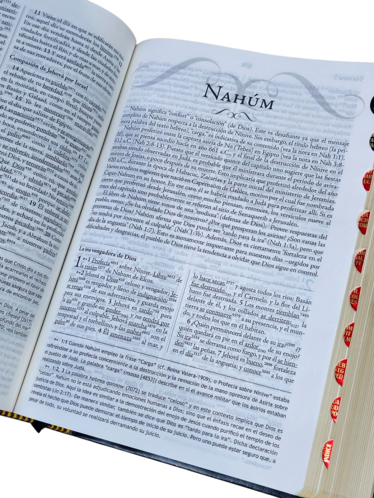 Biblia de Estudio Palabra Clave RV1960, con diccionario en hebreo Indice Negro