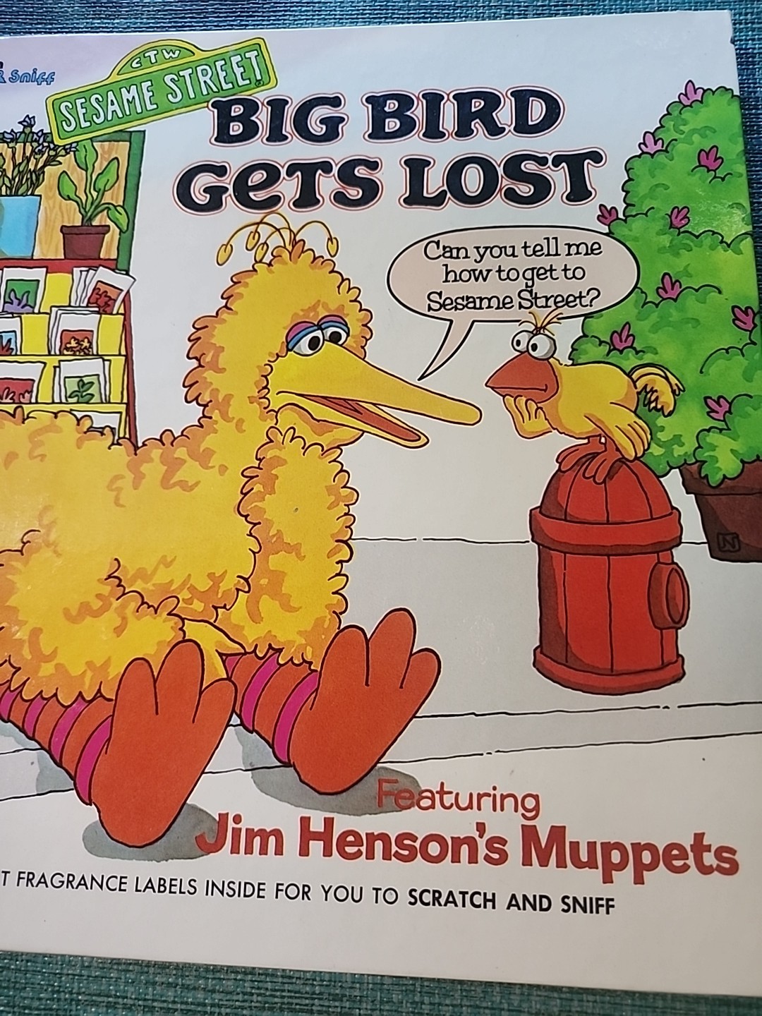 Sesame Street Big Bird Gets Lost (1979) Golden Hardcover Book