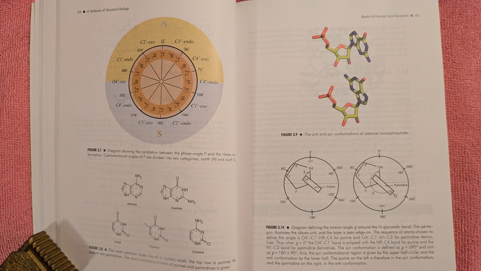 Anders Liljas et al, TEXTBOOK OF STRUCTURAL BIOLOGY, 2010, PB, NO CD, 572 Pages