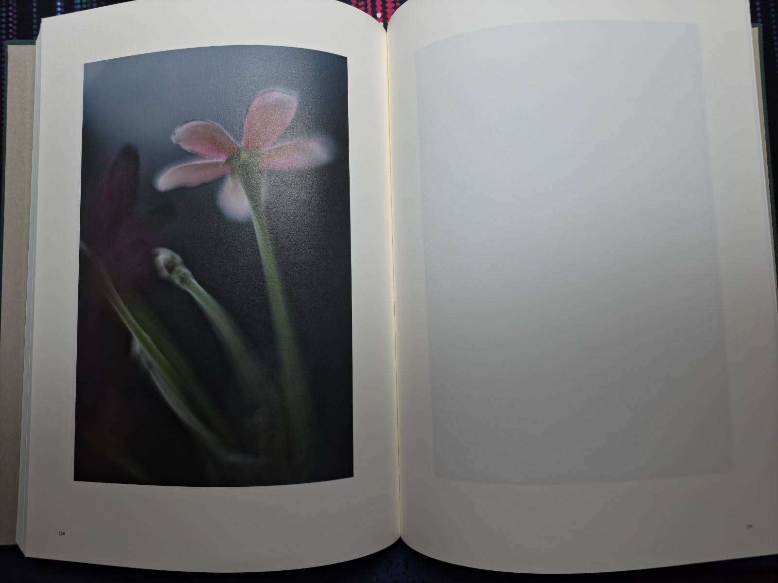LUMIÈRE by Mikiya Takimoto
