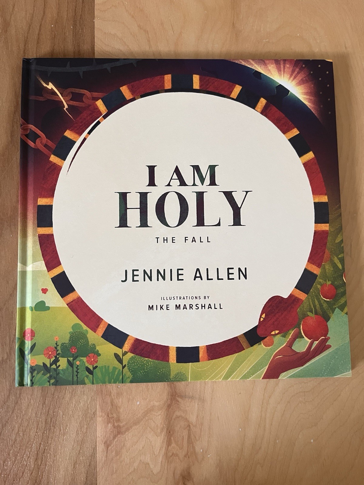 Complete 5 Volume Hardback Book Set – The Story of God-Jennie Allen Theolaby