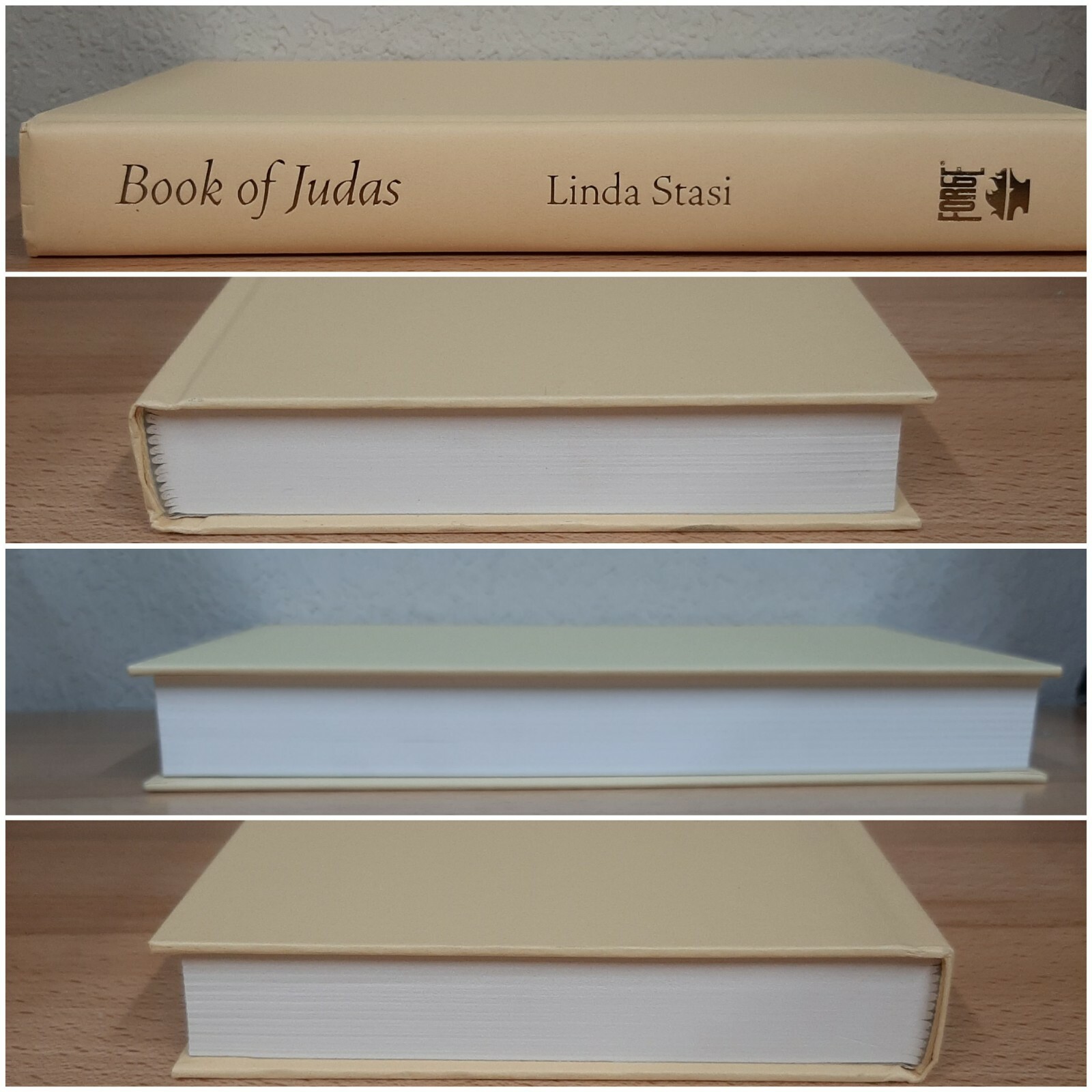 Book of Judas~Linda Stasi~381 pages~2017~1st Edition~H/C~D/J~Very Good Condition