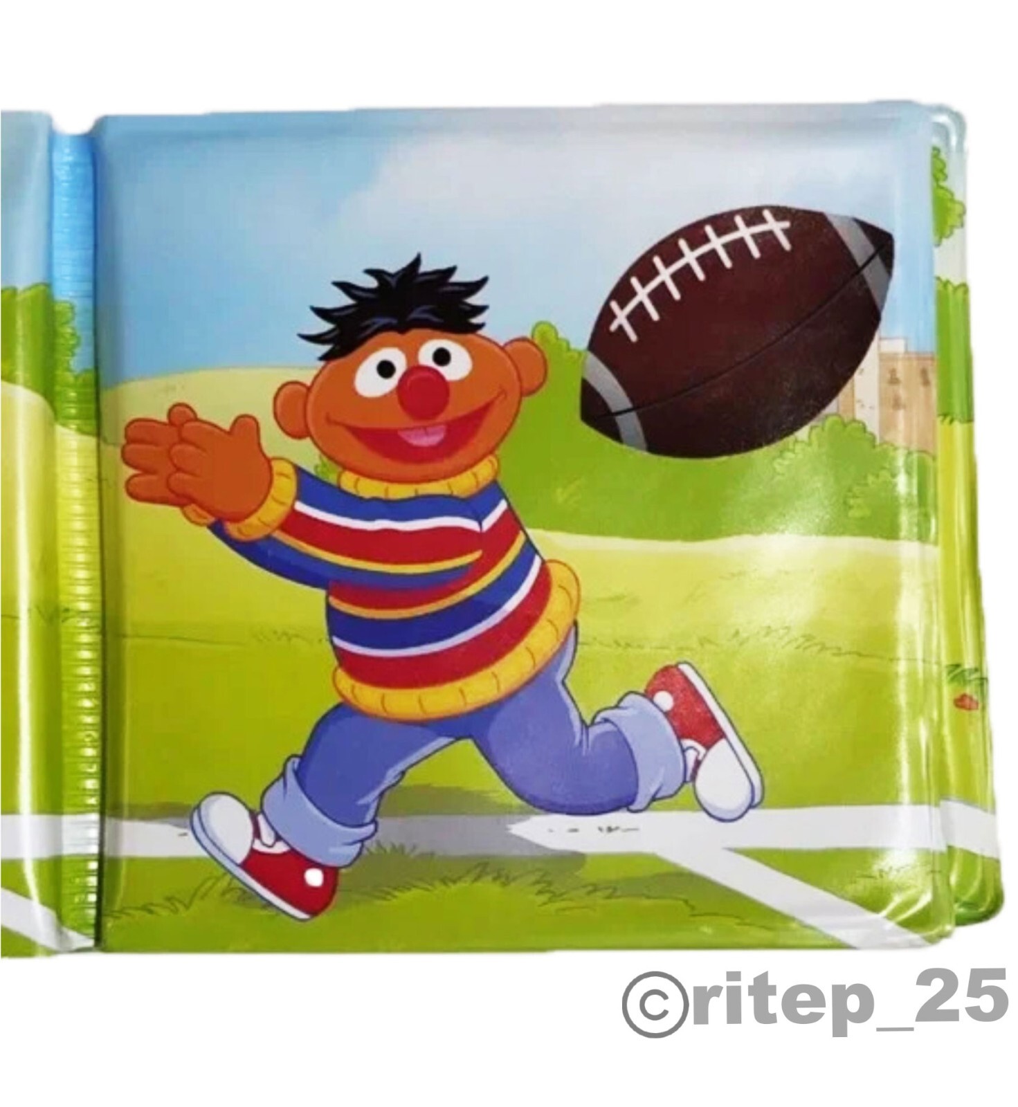 Sesame Street Ernie’s Touchdown Bubble Book – Great For Bath Time (1 Pack) – New