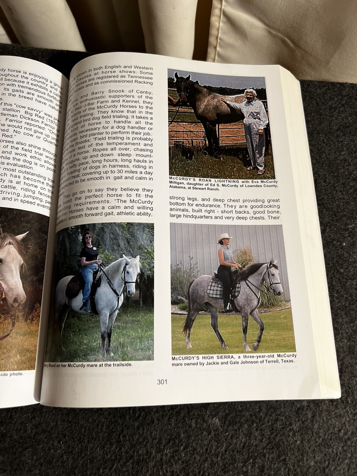 THE FABULOUS FLOATING HORSES By Barbara Weatherwax SC signed!