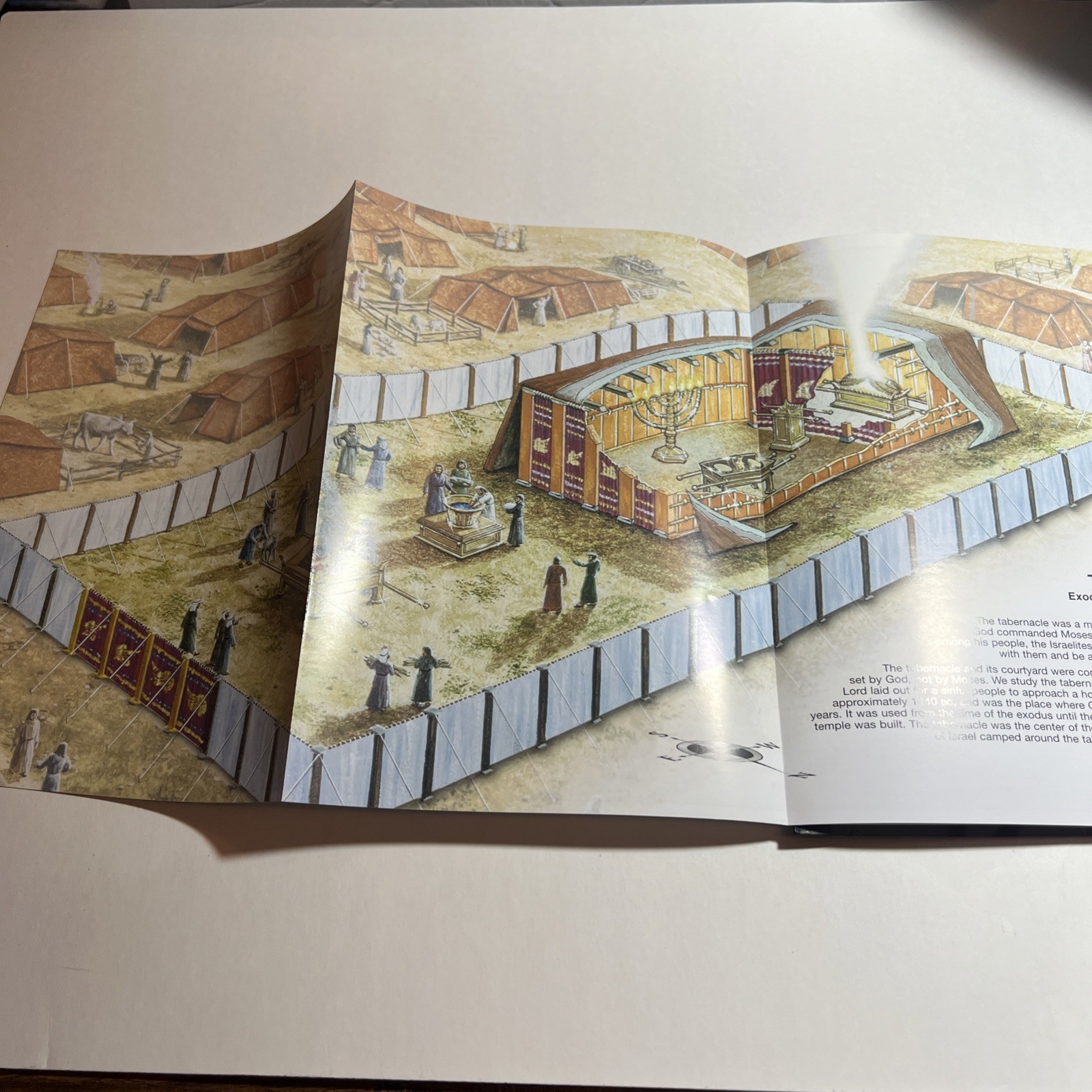 Rose Book of Bible Charts Maps Time Lines Full Color 10Th Anniversary Expanded