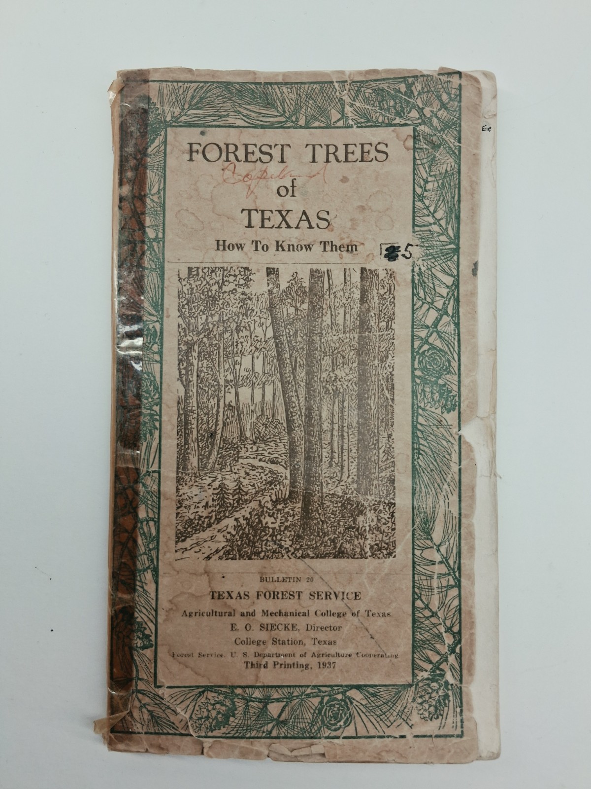 Frest Trees of Texas, Vintage Booklet, College Station, Texas 1937