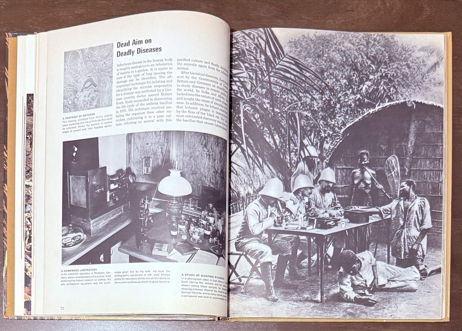 Health And Disease by Rene Dubos & Maya Pines. Time Life Books Science Library