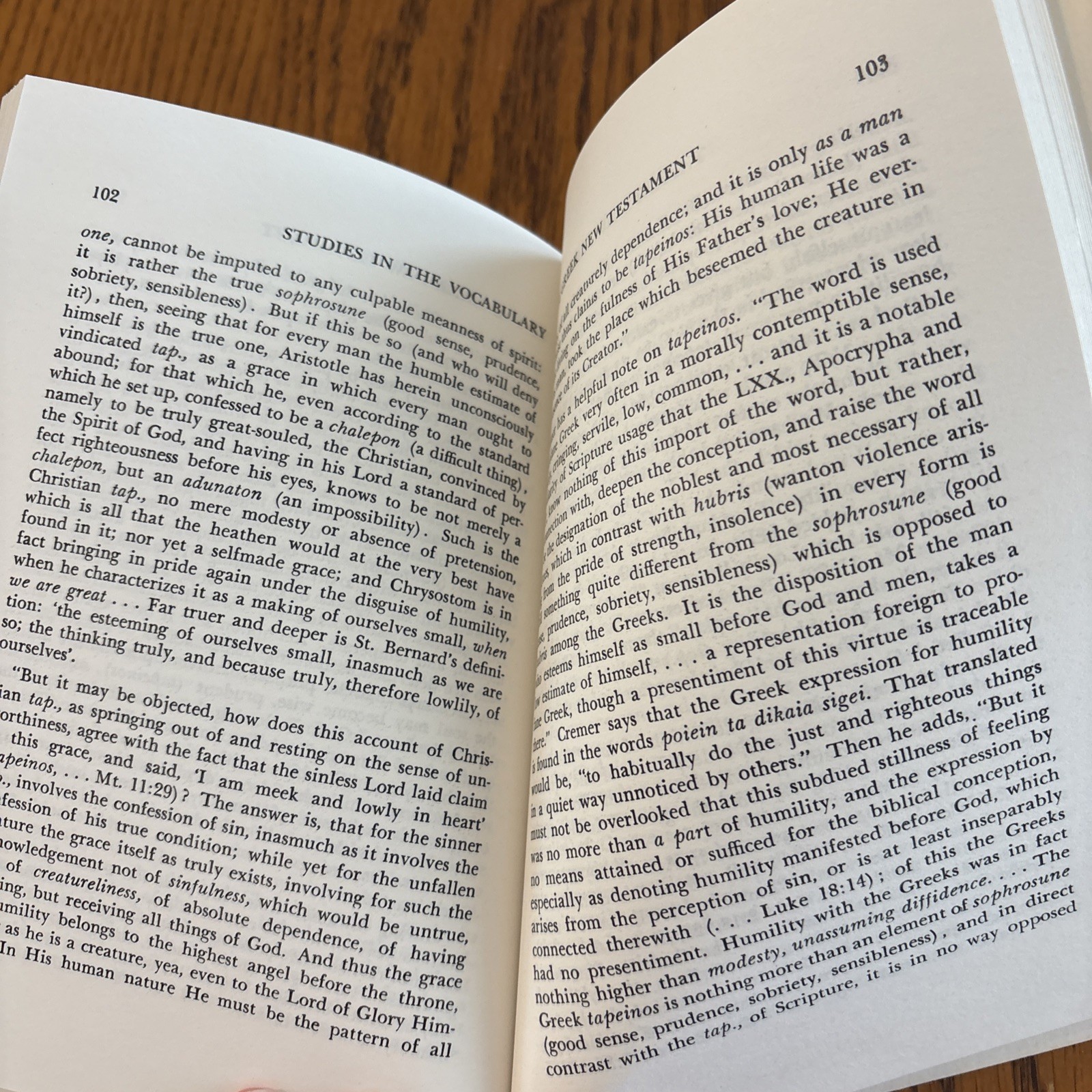 Studies In The Vocabulary Of The Greek New Testament By Kenneth S. Wuest PB
