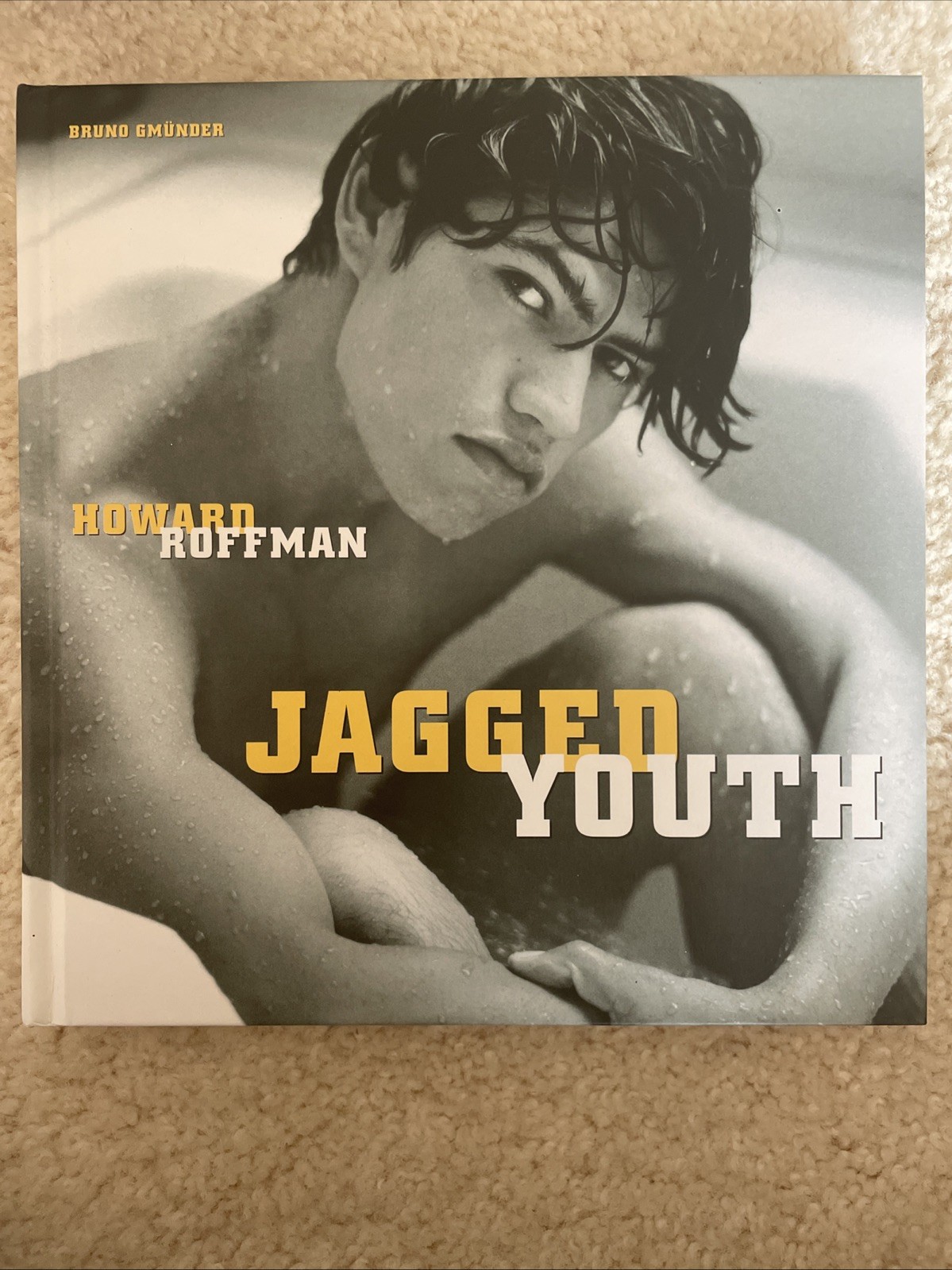 JAGGED YOUTH By Howard Roffman – Hardcover *Excellent Condition*