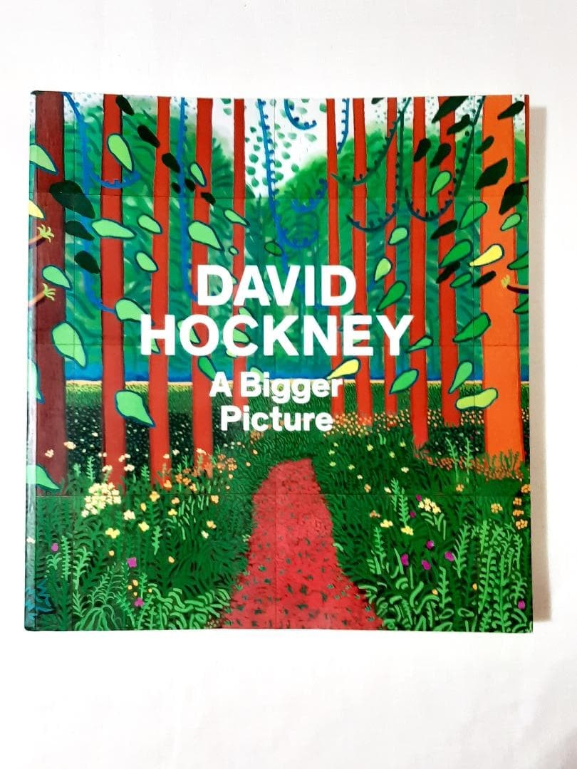 David Hockney A Bigger Picture Art Book English 301 Pages Used