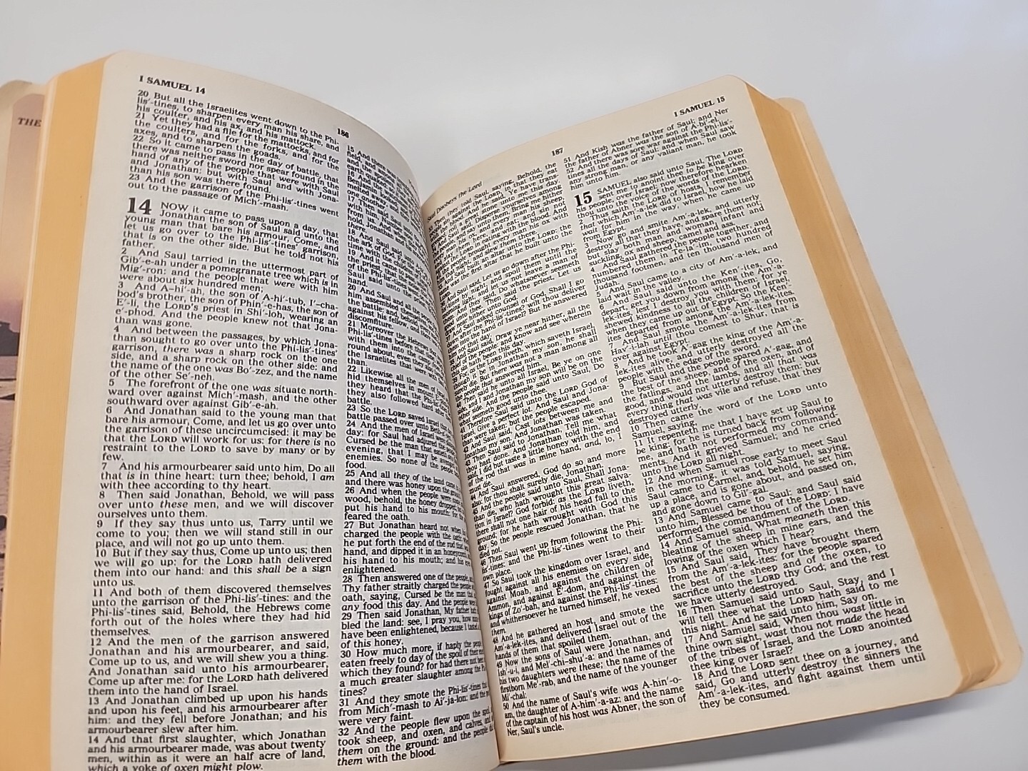 HOLY BIBLE Regency Words of Christ in Red Nelson Pub. King James Version 1977