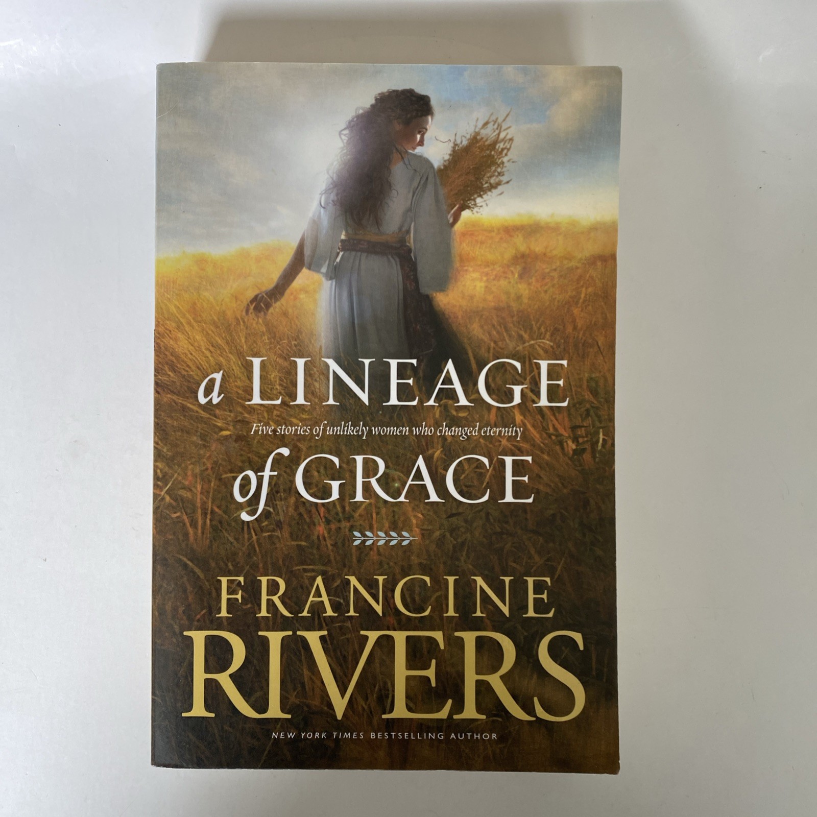 Lisa Wingate, Francine Rivers, Jan Karon, Kingsbury, Moore Christian Fiction Lot