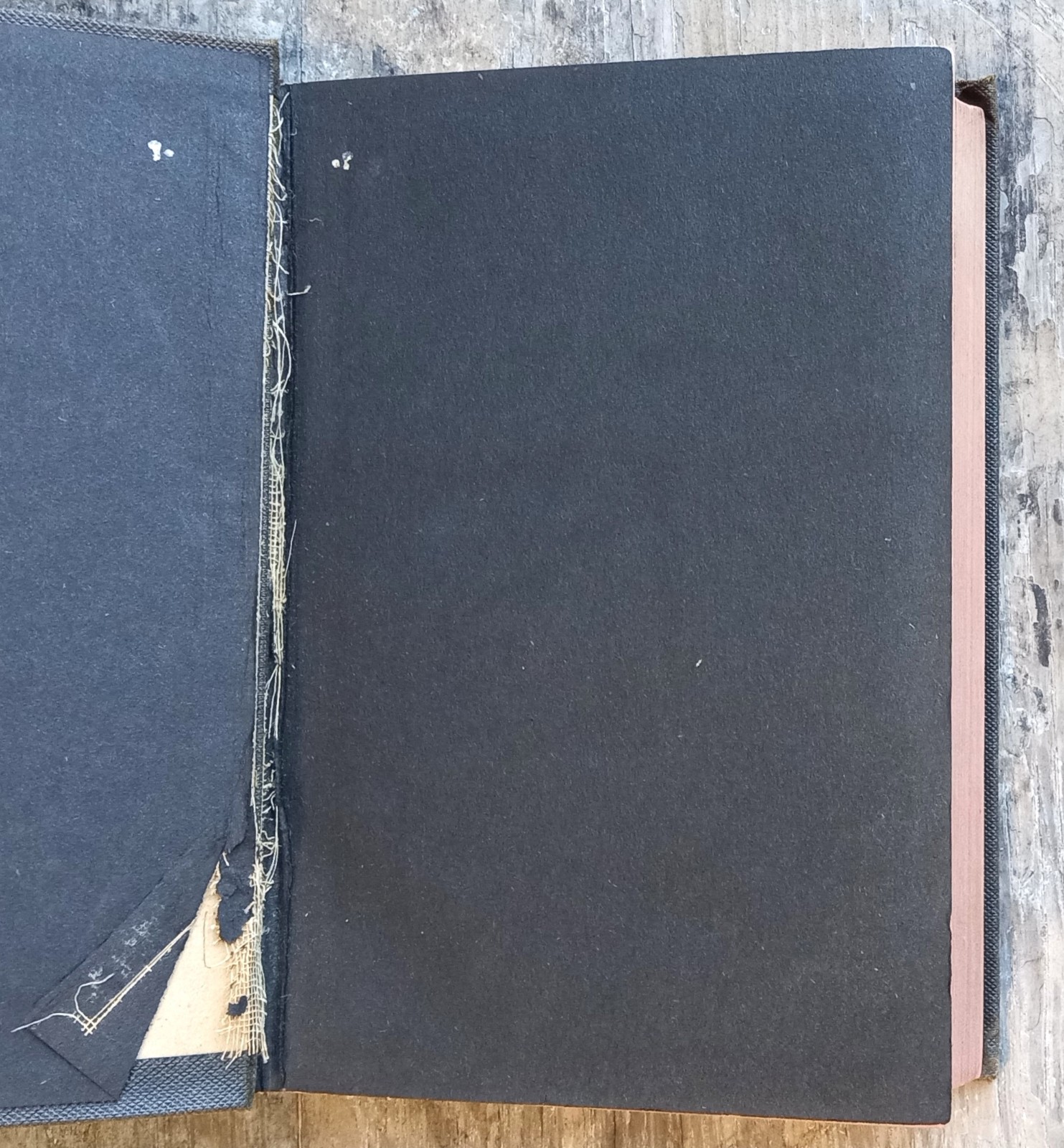 Holy Bible ~1901 Vintage HC~ Nelson (American Standard Version) Israel Christian