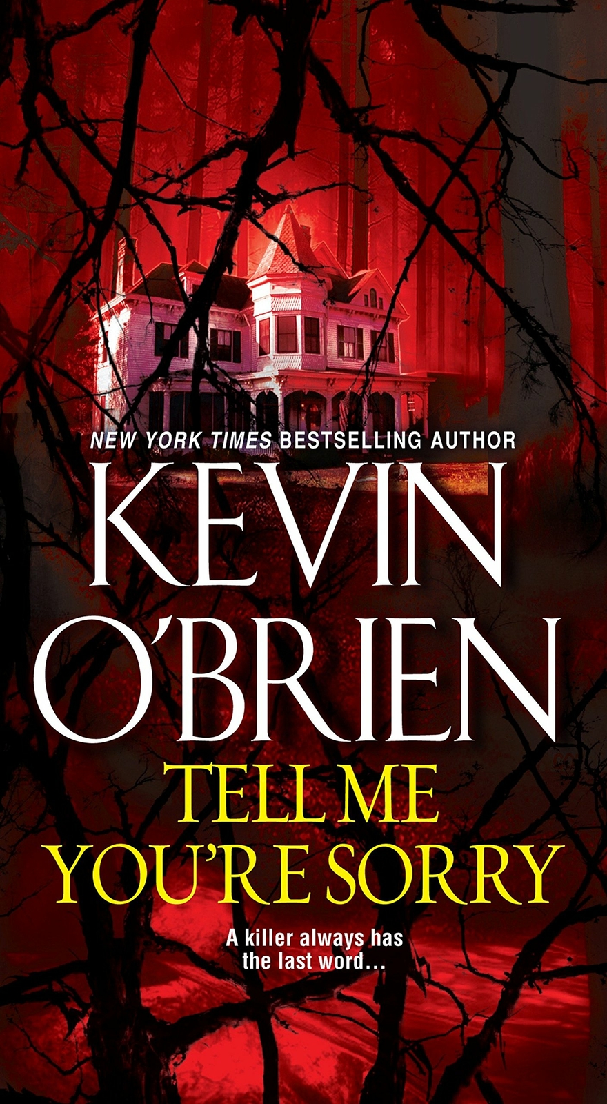 ~“TELL ME YOU`RE SORRY“~A NOVEL by KEVIN O`BRIEN~PAPERBACK~THRILLER~544 Pages~GC