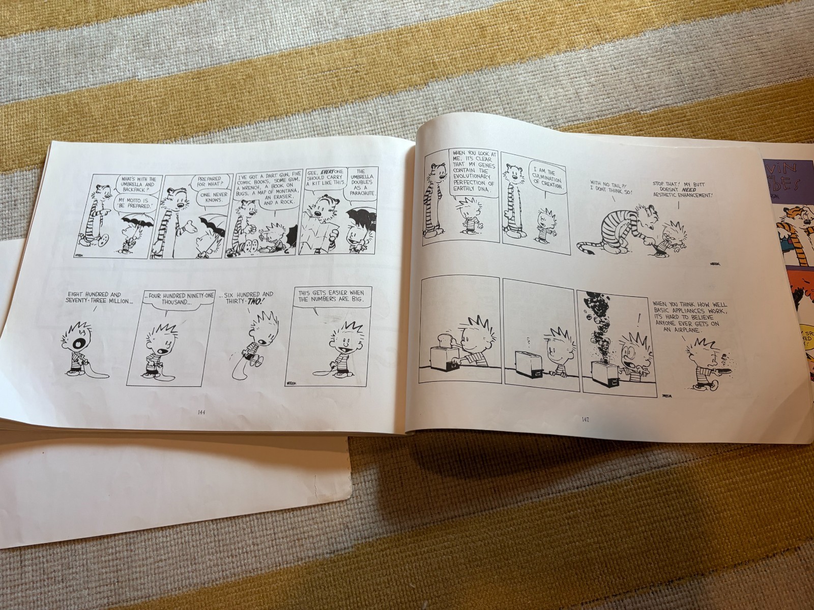 Calvin and Hobbes The Days Are Just Packed (INCOMPLETE BOOK, READ DESCRIPTION)