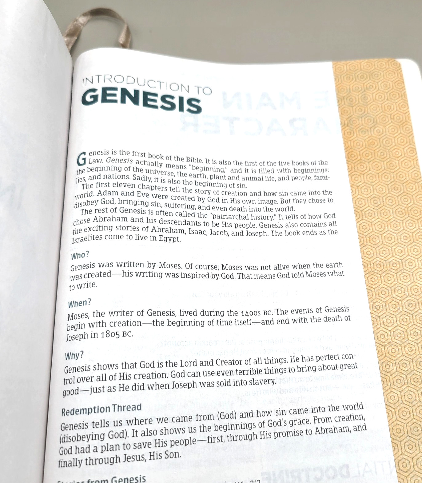 Essential Teen Study Bible : Holman Christian Standard Bible