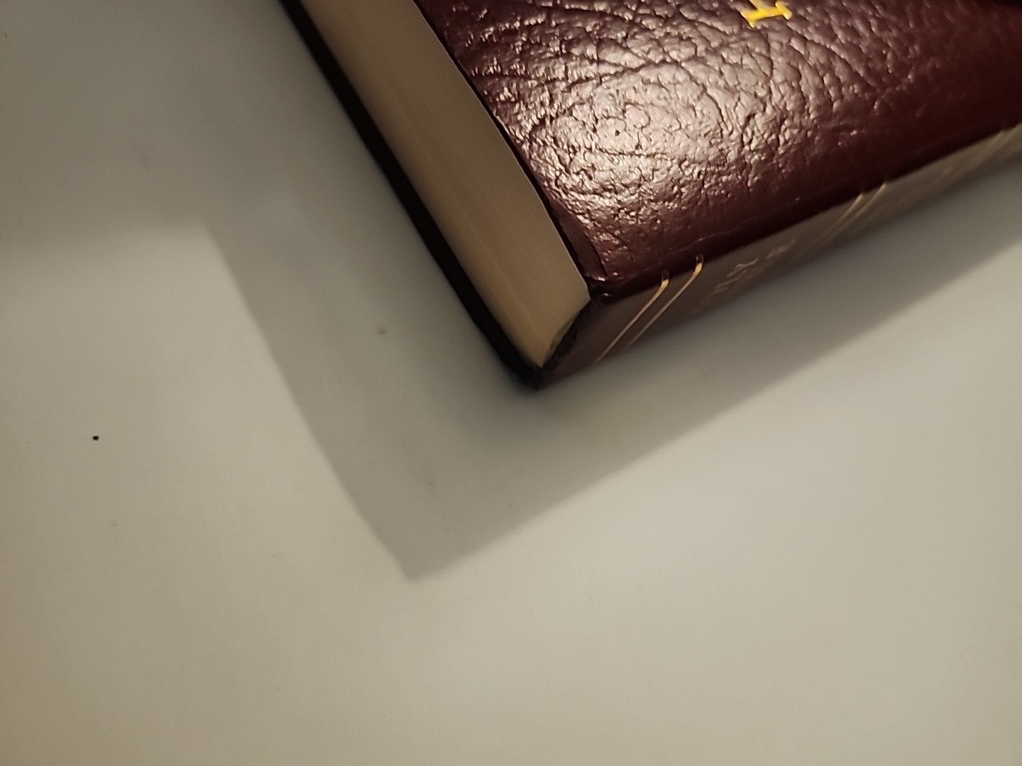 Holy Bible King James Version Red Letter Dictionary Concordance Nelson 162R