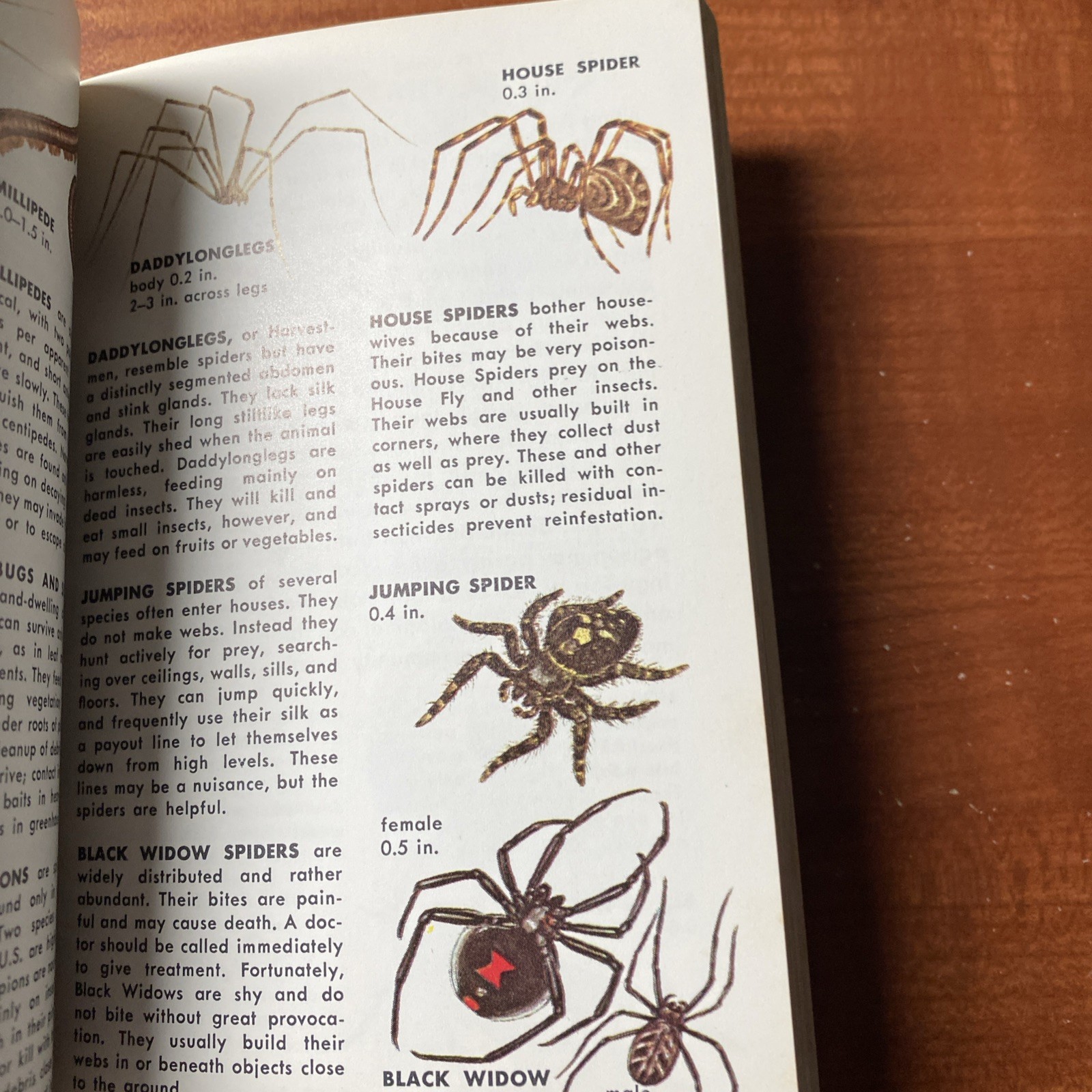 Lot Of 6 Vintage Golden Nature Guides-Small Booklets-Insets pest stars rock ETC