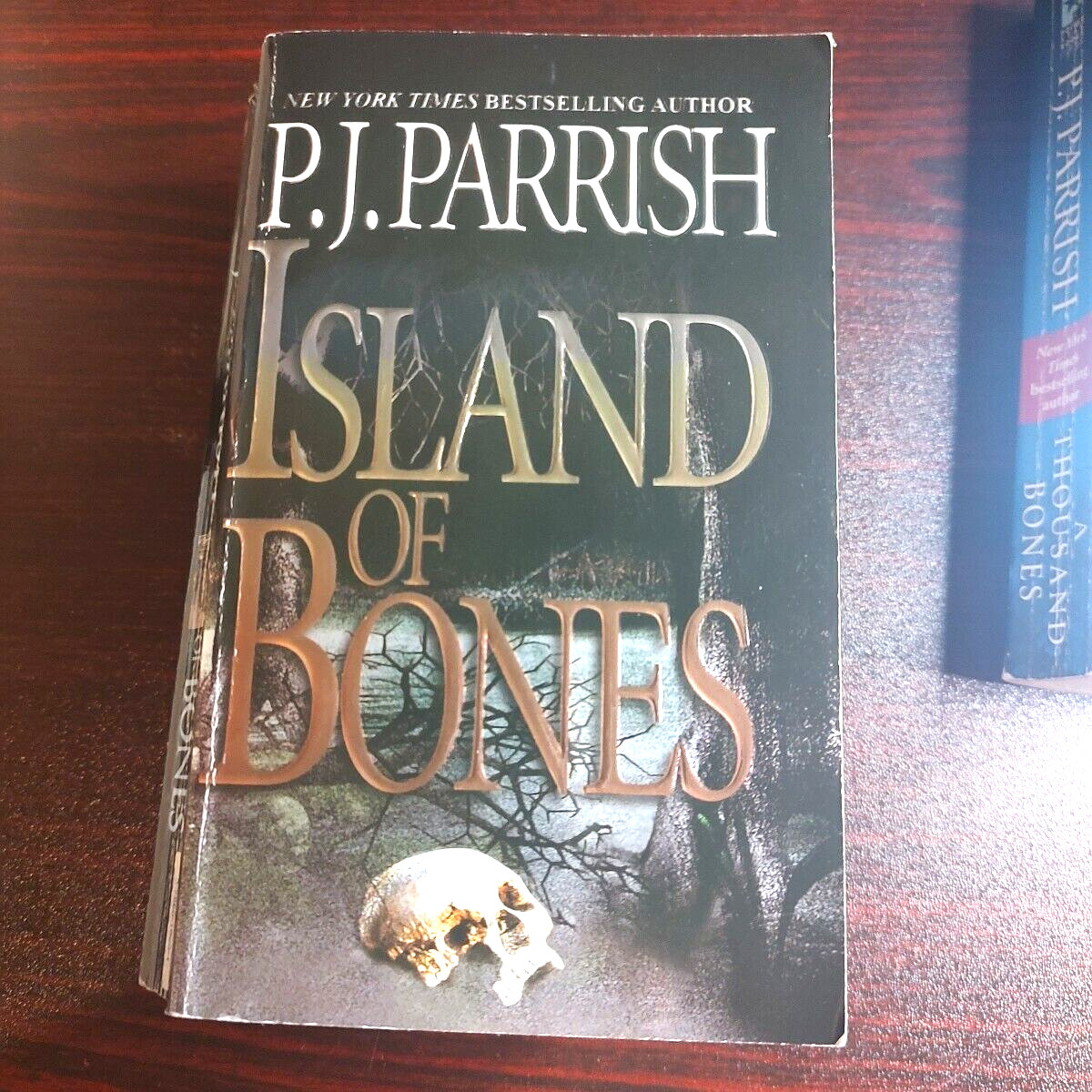 Mystery Thriller Paperback Book P J Parrish Investigation Murder Crime 3x