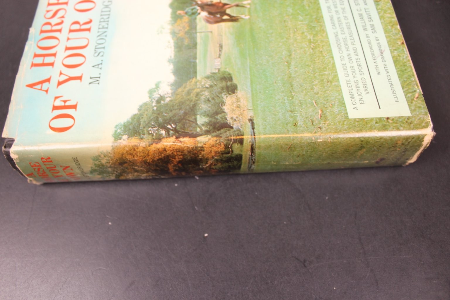 A Horse of Your Own Stoneridge 1963 First Edition Illustrated Equestrian HCDJ