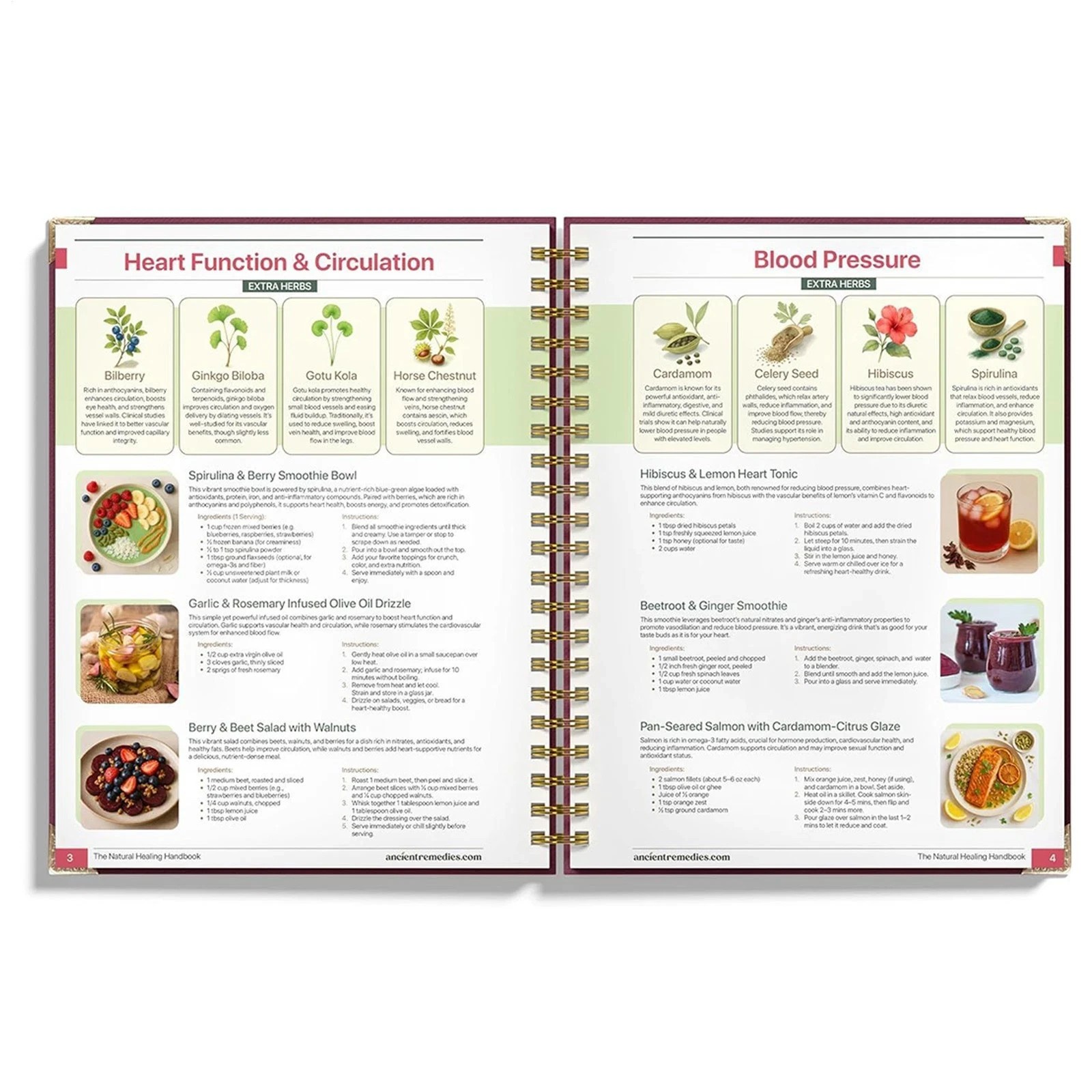 The Natural Handbook Bound For Herbal Remedies And Natural Recipes By Ancient TL
