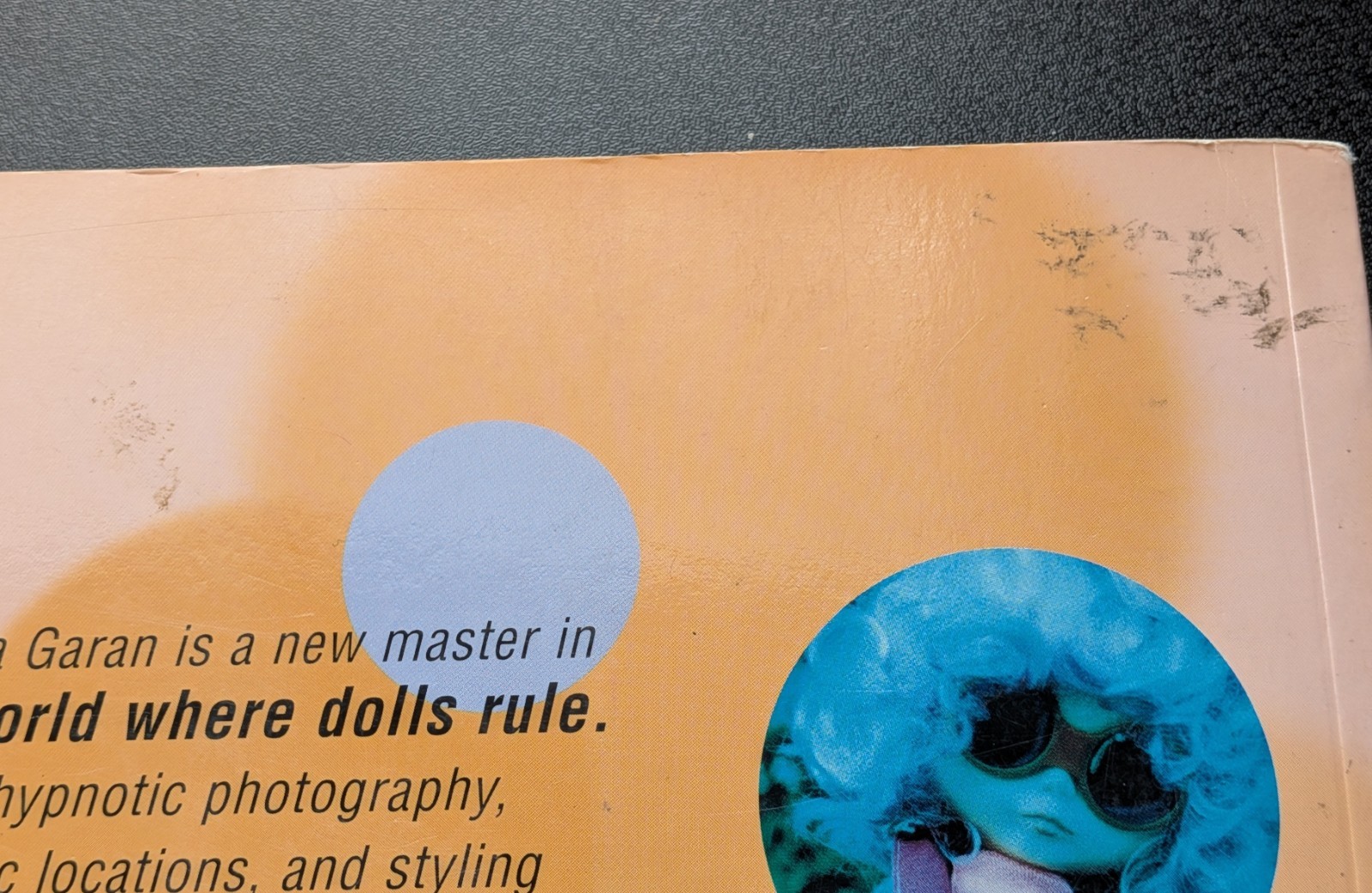 This Is Blythe Gina Garan Photography Book – Please See Description and Pictures
