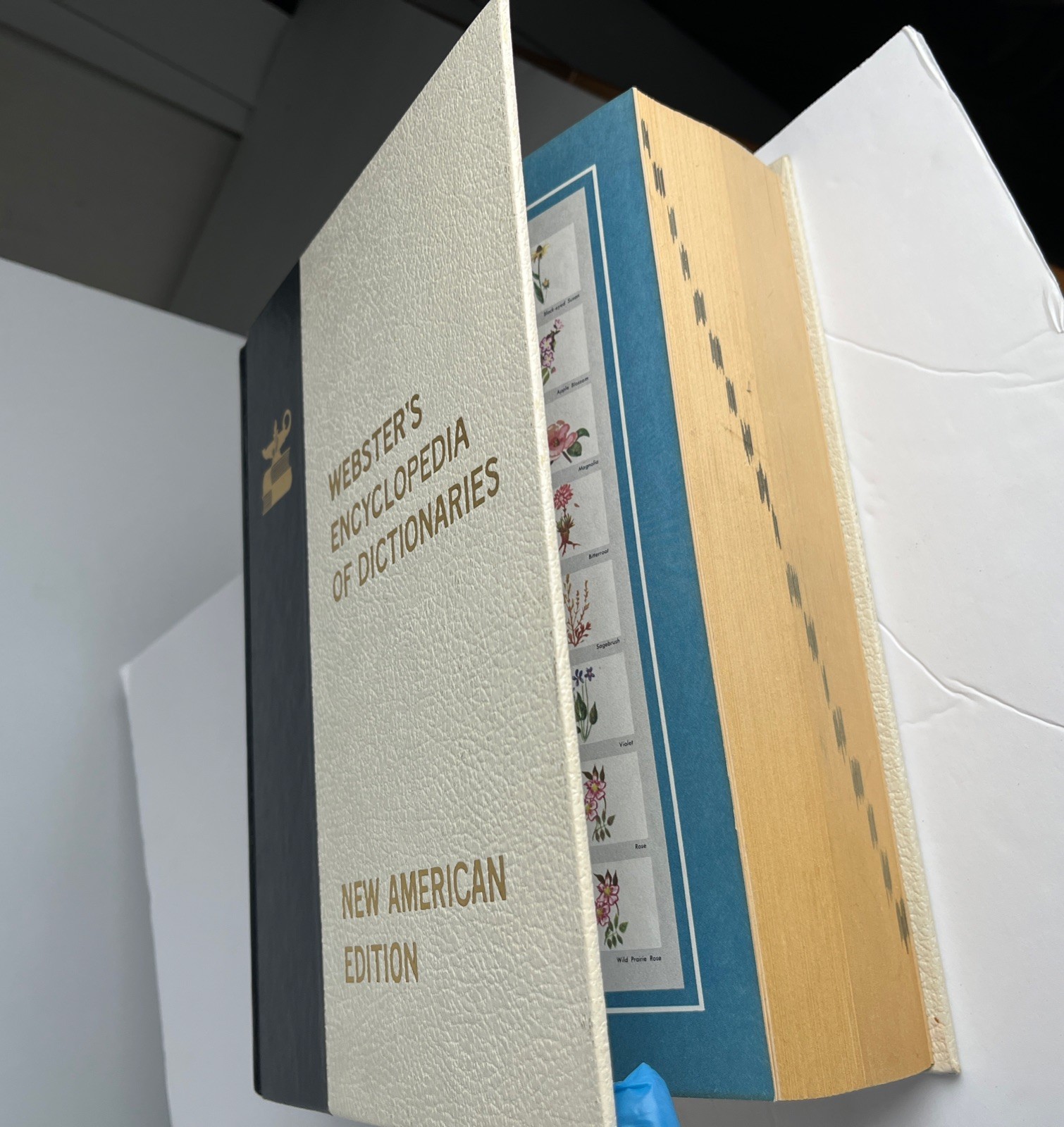 WEBSTER’S Encyclopedia of Dictionaries New American Edition 1981 Large Type VTG