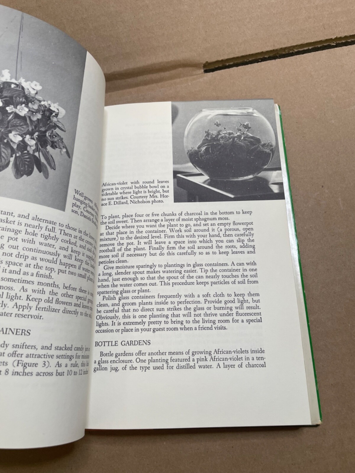 Helen Van Pelt Wilson’s African-Violet Book [HC/DJ) 1970