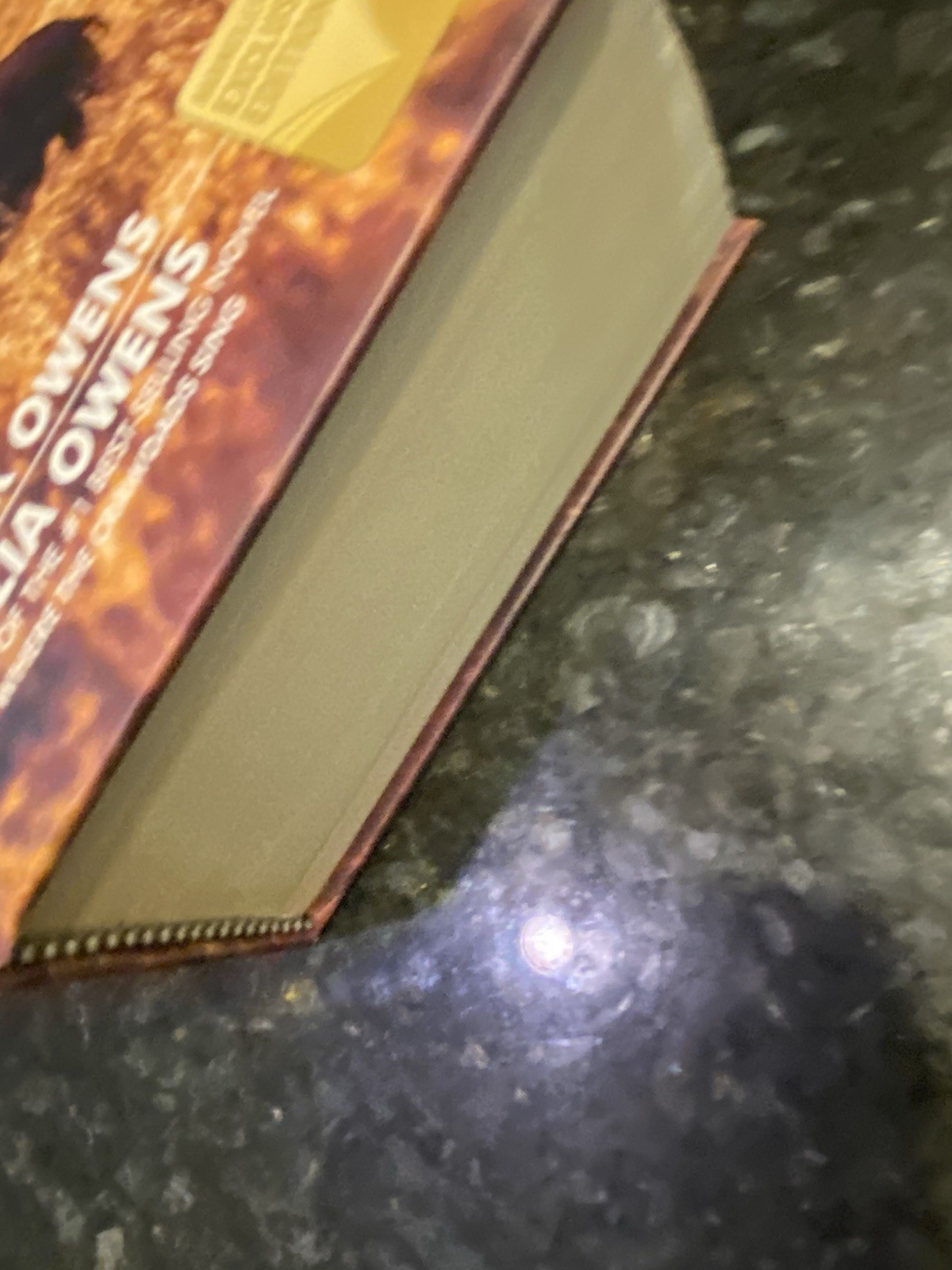 Delia Owens In Africa : A Life In The Wild by Mark Owens & Delia Owens (2019)