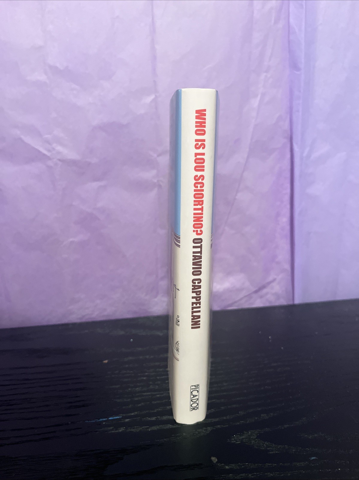 WHO IS LOU SCIORTINO By Ottavio. Cappellani (1st Ed, Great Britain, Picador 2007