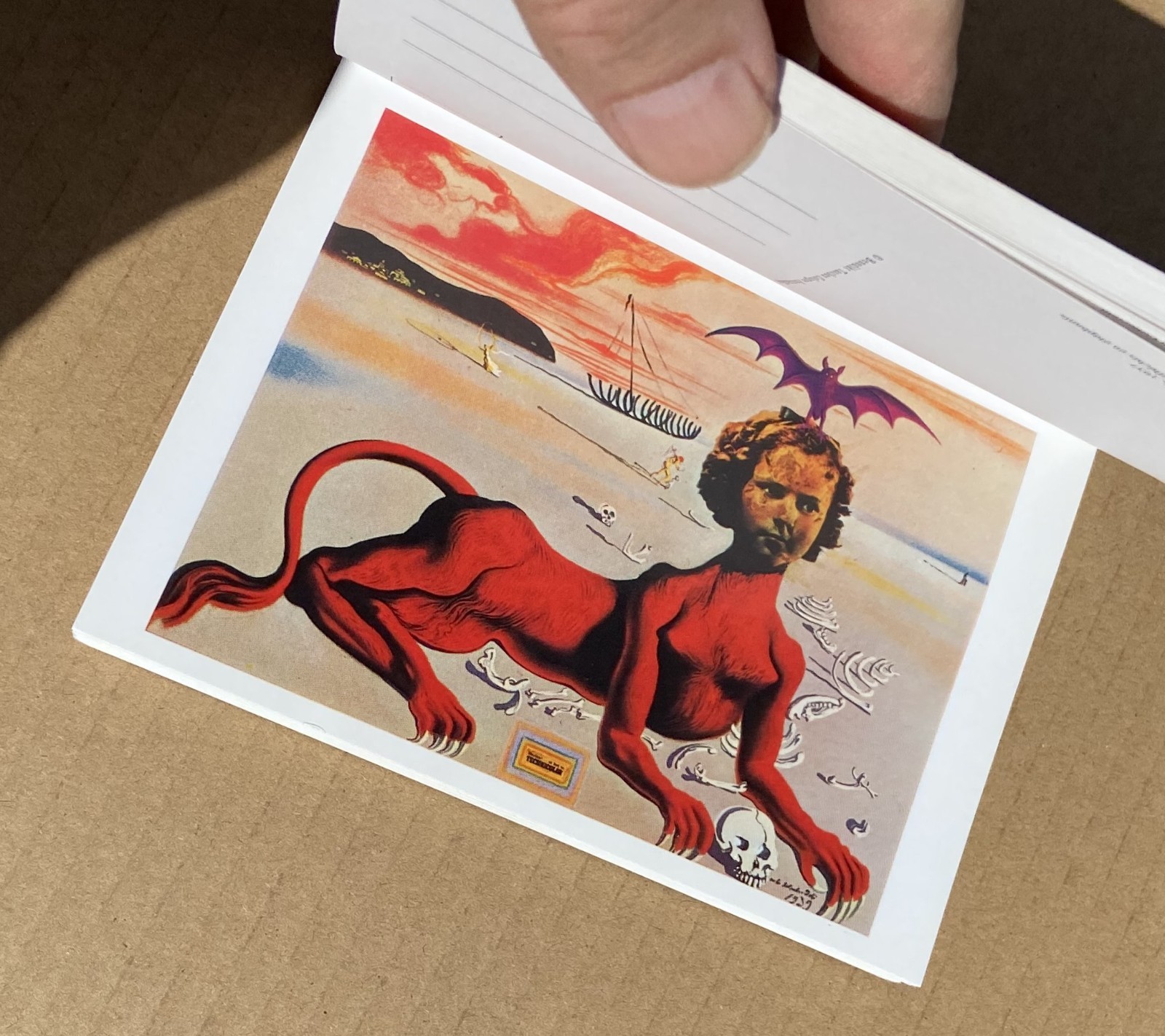 SALVADOR DALI 30 Postcards Postcard Booklet Book