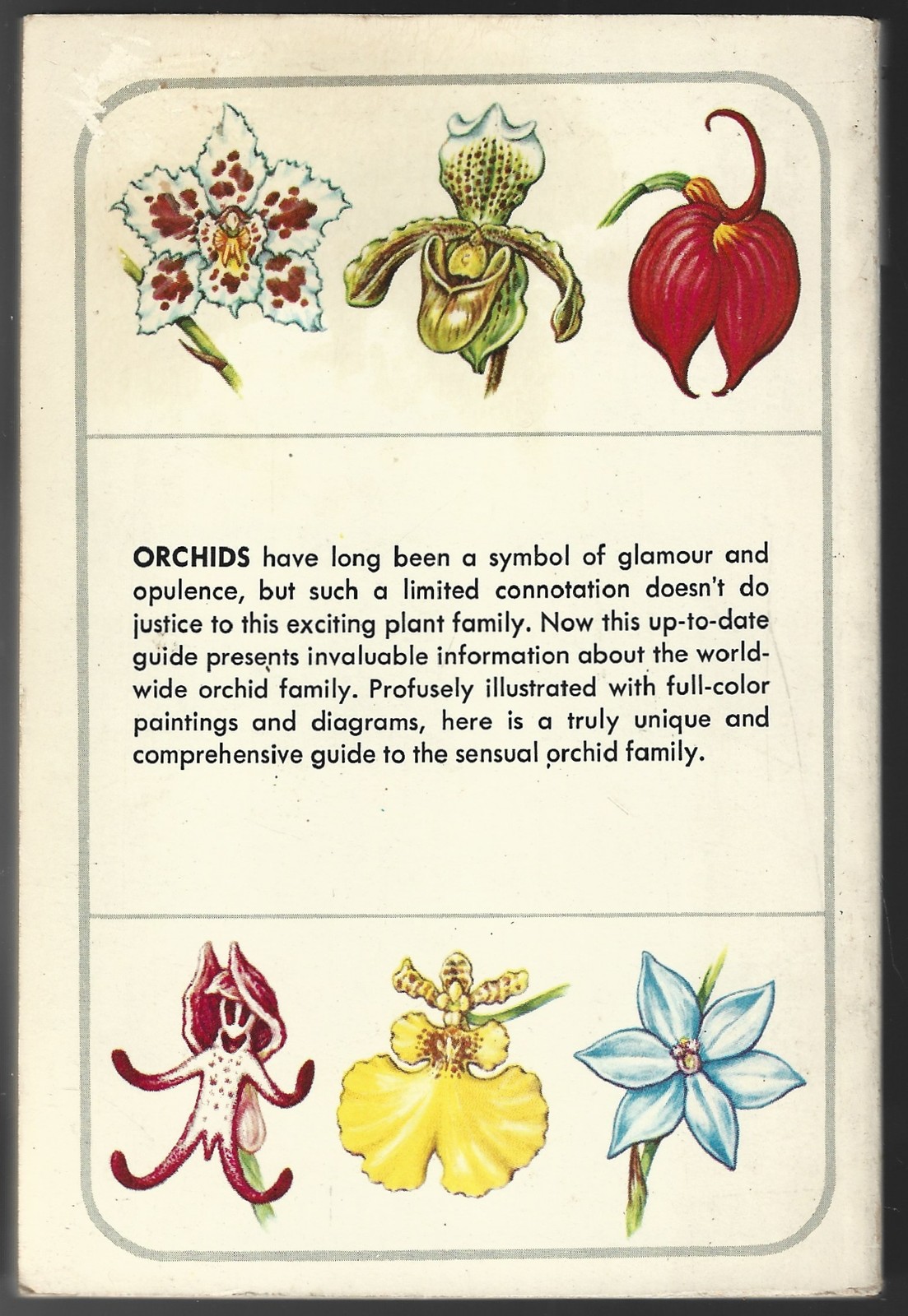 Orchids A Golden Nature Field Guide Shuttleworth/Zim/Dillon 1970 Illustrated TP
