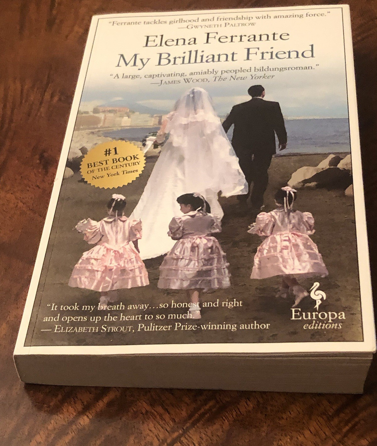 My Brilliant Friend by Elena Ferrante Paperback. Excellent Like New Condition