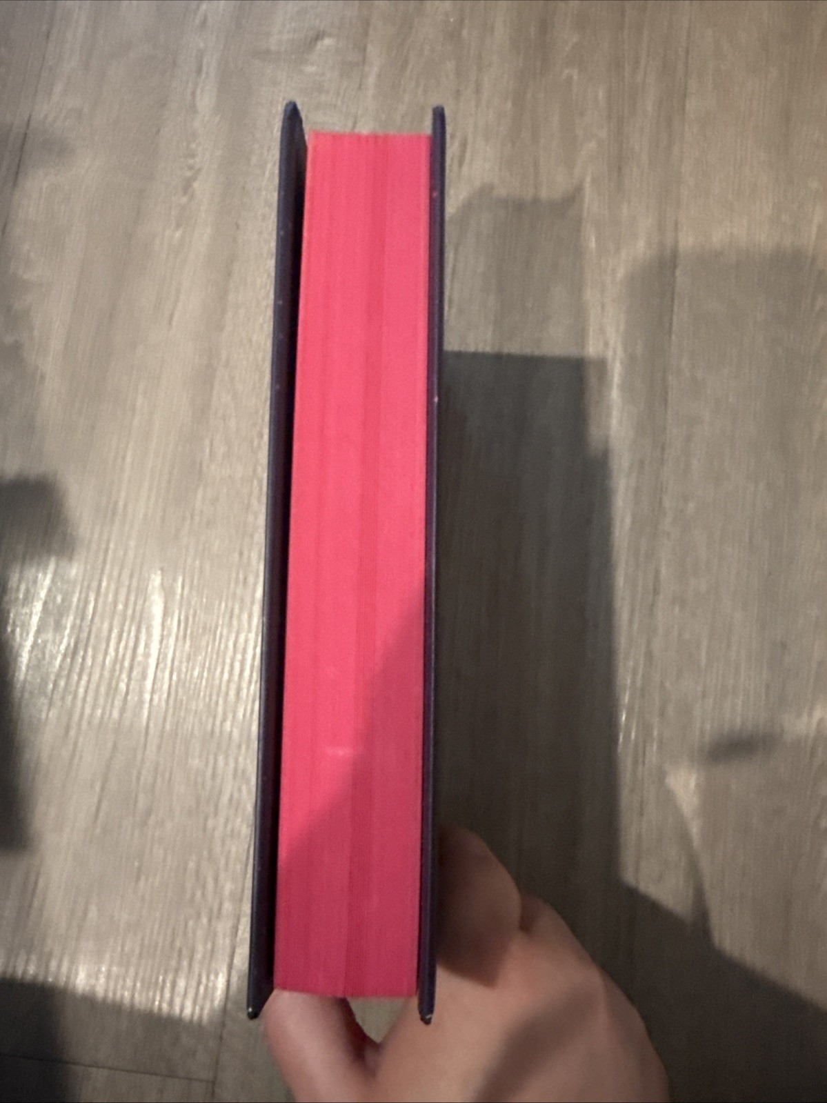 The Witch Haven By Sasha Peyton Smith – Bookish Box Edition