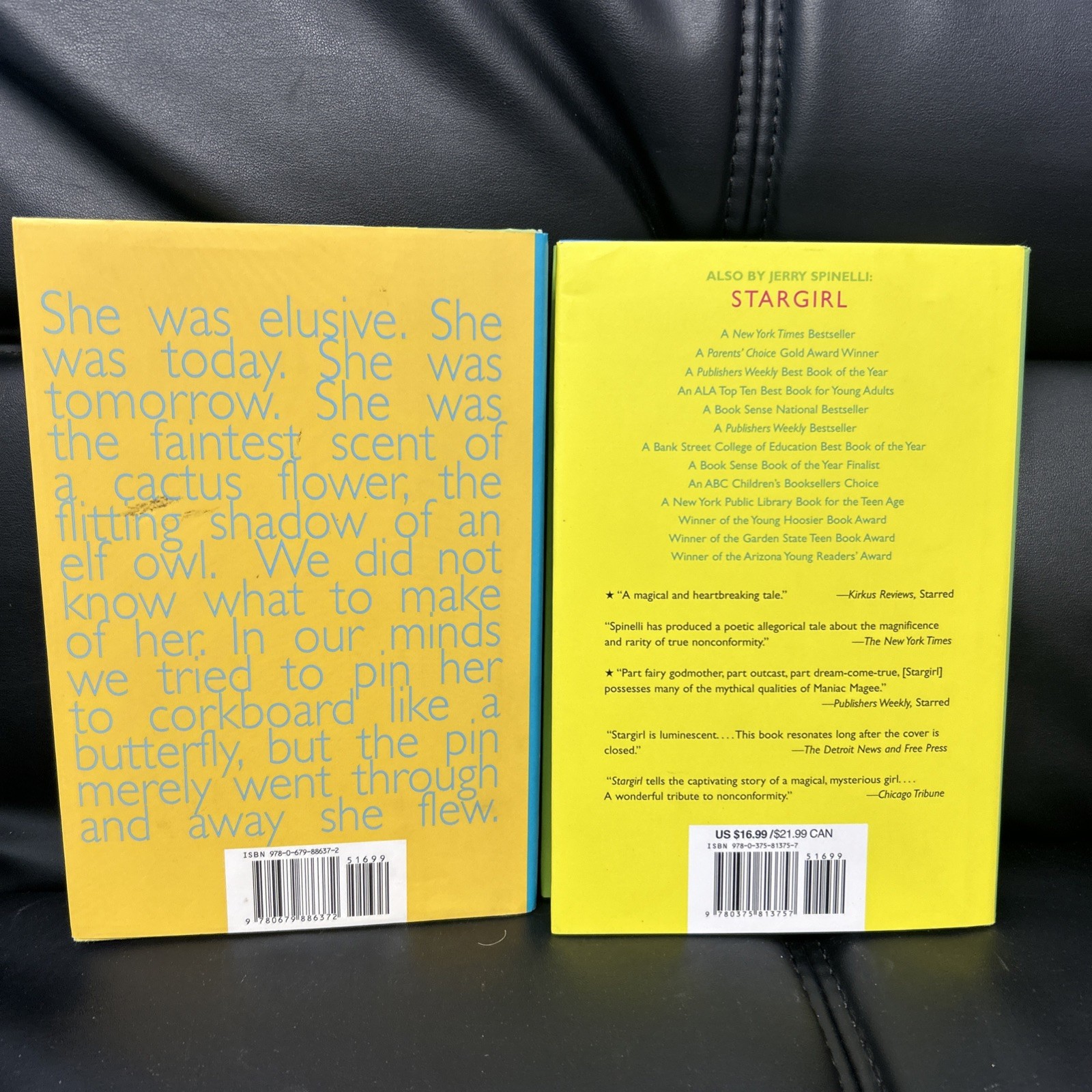 Stargirl/Love, Stargirl (Boxed Set) by Jerry Spinelli (2007, Hardcover)