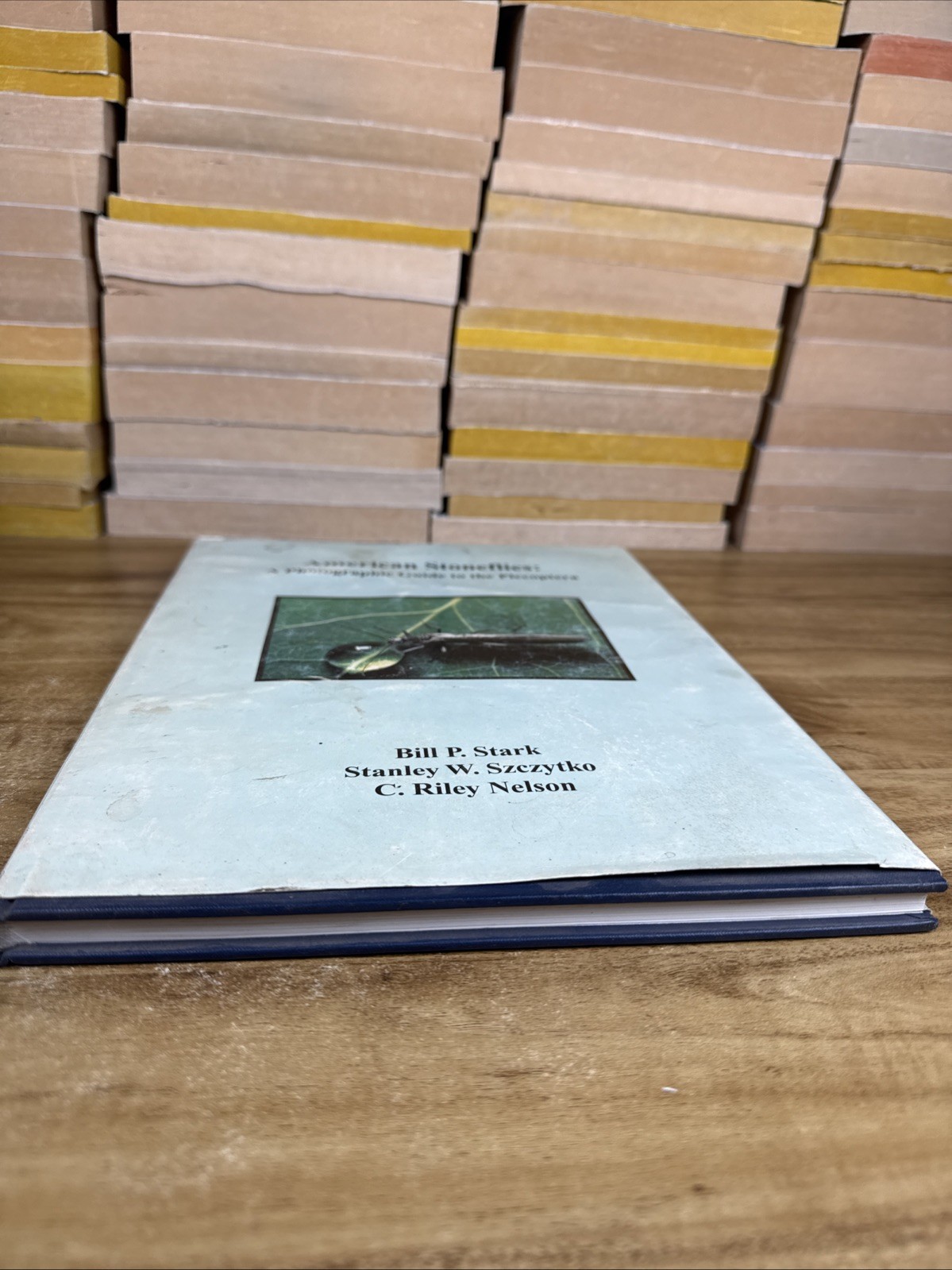 American stoneflies: A photographic guide to the Plecoptera by Bill P. Stark