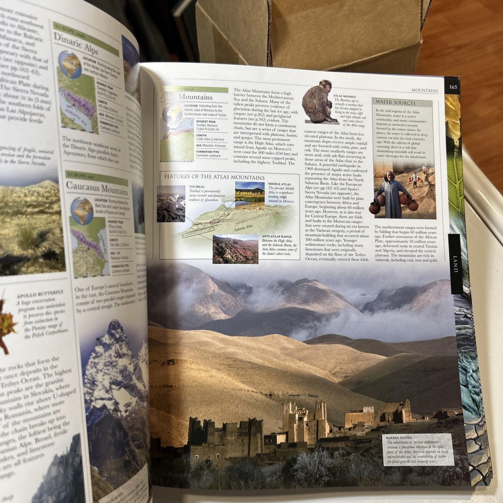Earth by Dorling Kindersley Publishing Staff (2007, Trade Paperback)