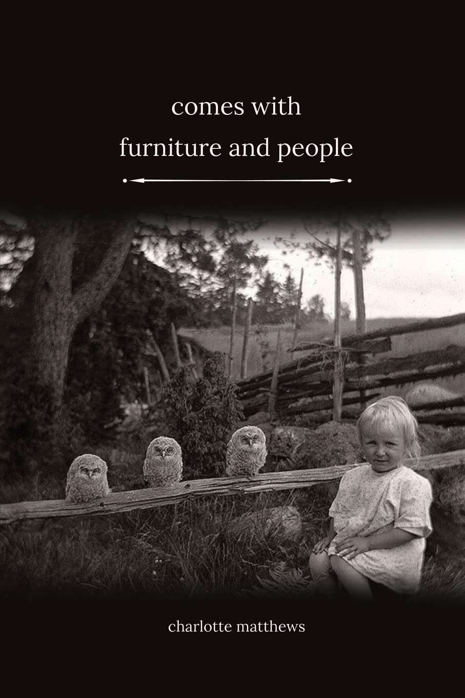 Comes With Furniture and People