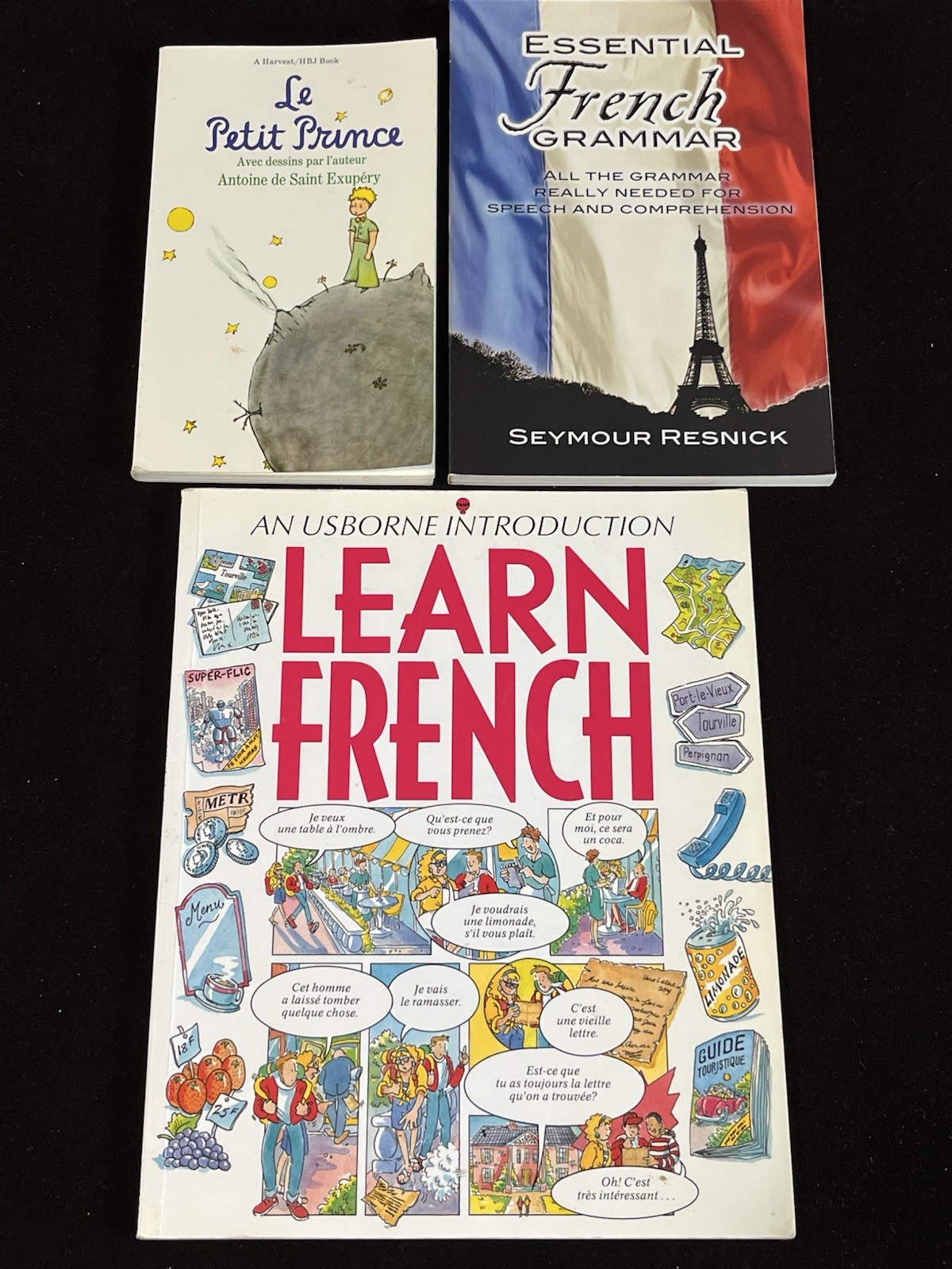Learn French Lot: An Usborne Introduction; Essential Grammar; & Le Petit Prince