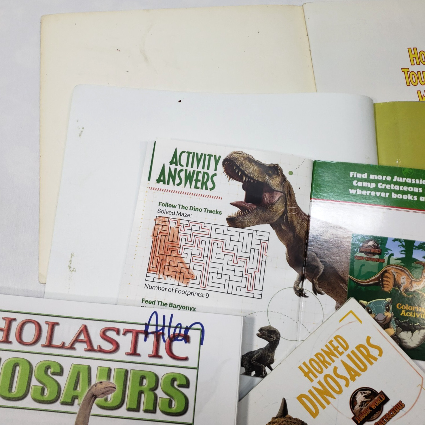 Kids Books About Dinosaurs Lot Of 10 Homeschool Classroom Library Picture Books