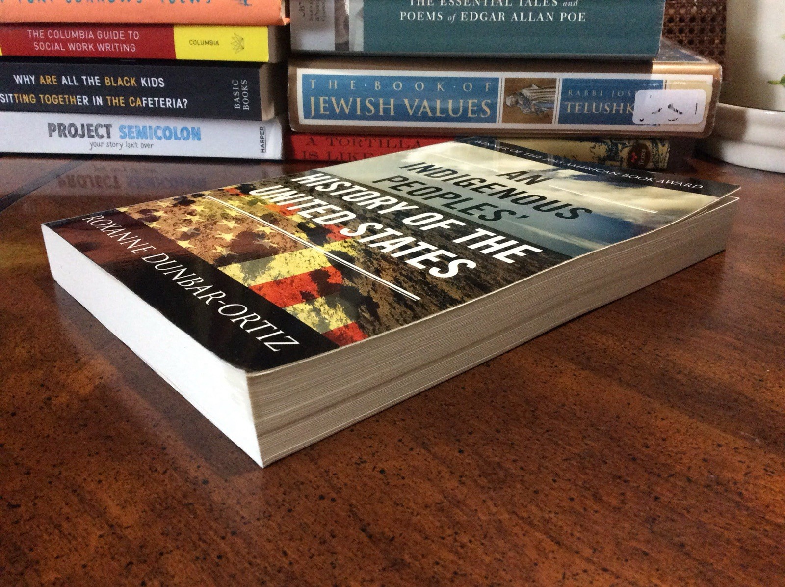 An Indigenous Peoples‘ History Of The United States By Roxanne Ortiz PB Like New