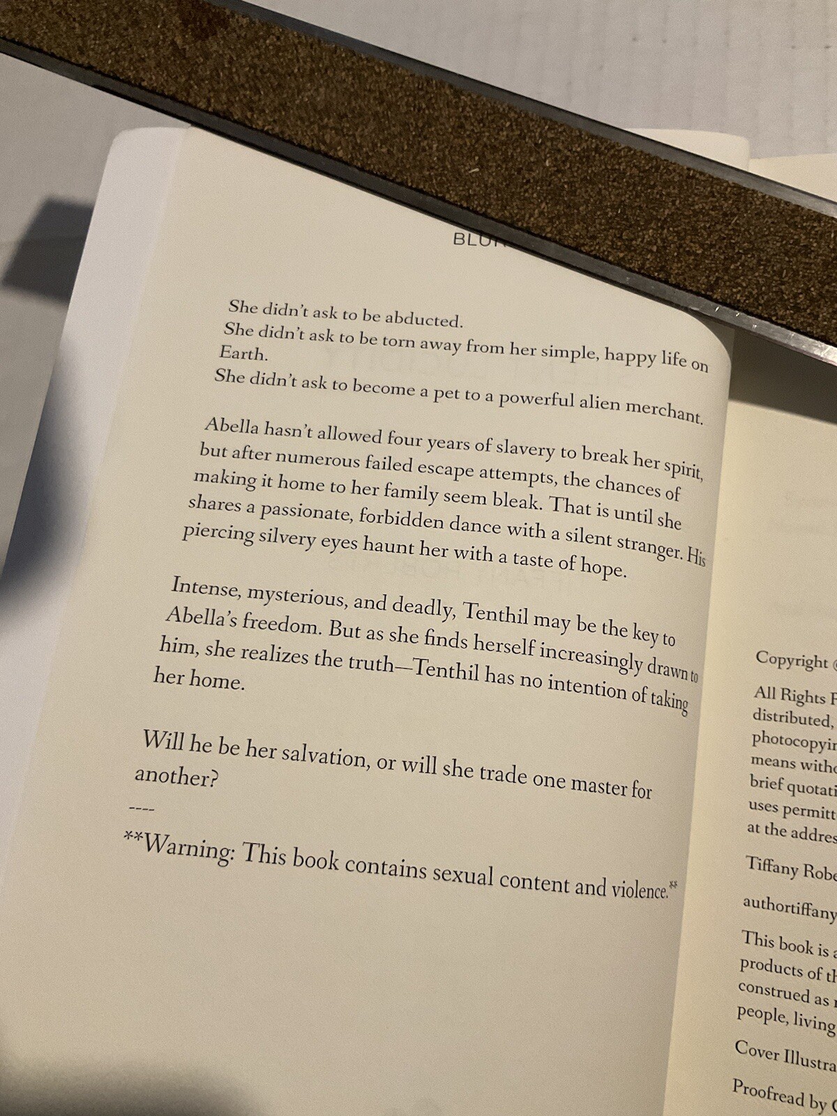 Silent Lucidity by Tiffany Roberts (2019, Trade Paperback)