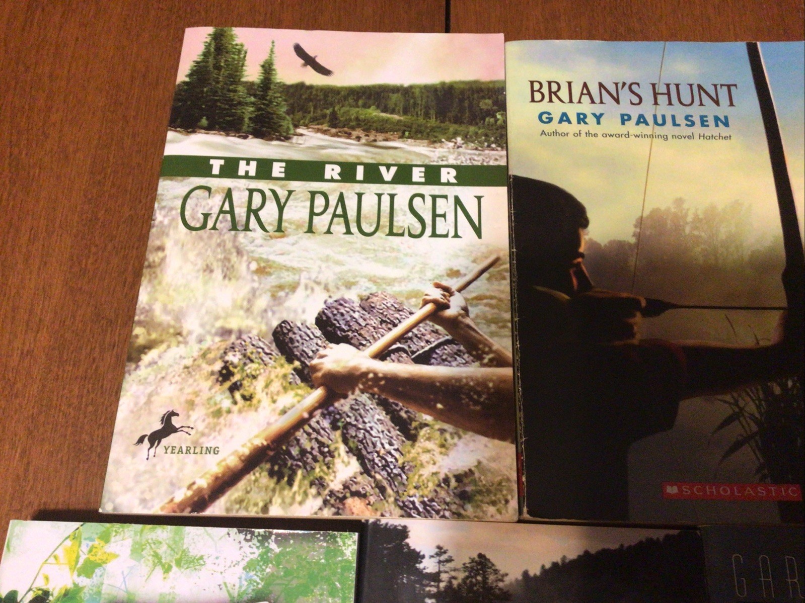 Complete Set Lot Of 5 BRIAN Books Paulsen HATCHET River HUNT Return WINTER (L1)