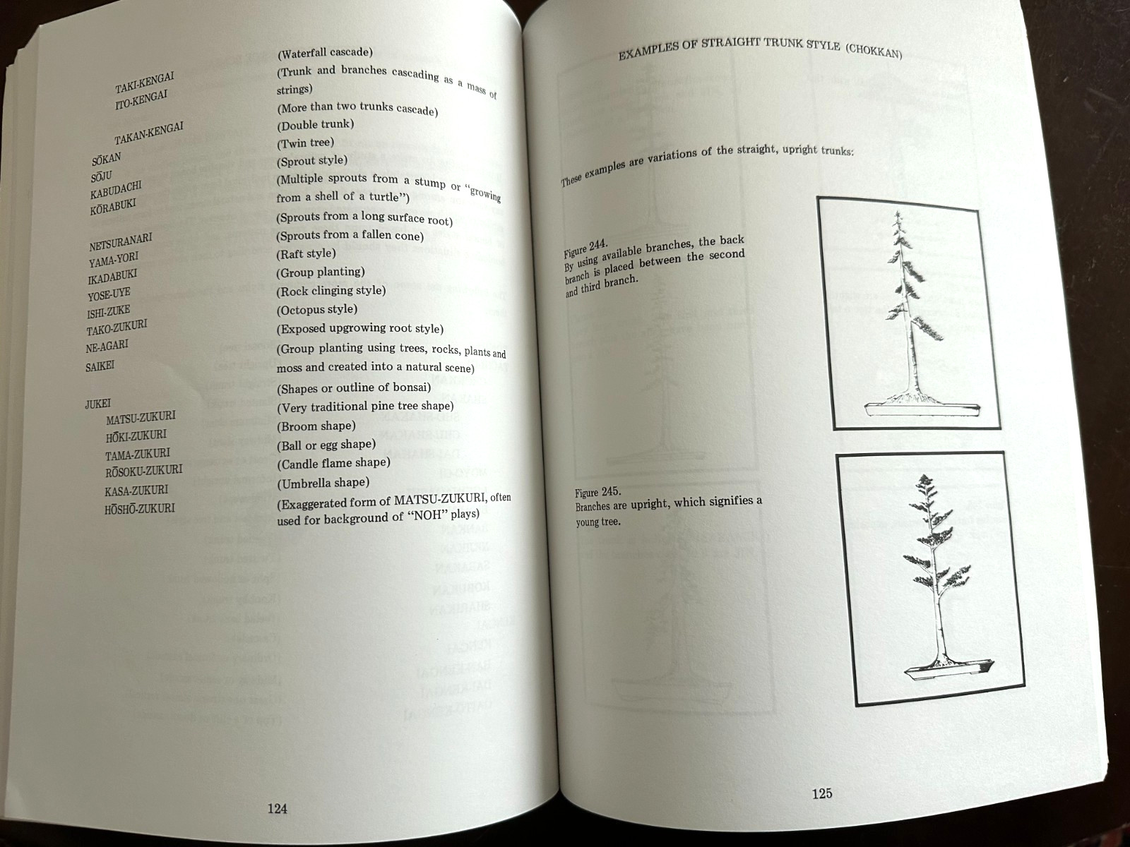BONSAI TECHIQUES I by John Yoshio Naka (269 pages, Paperback)