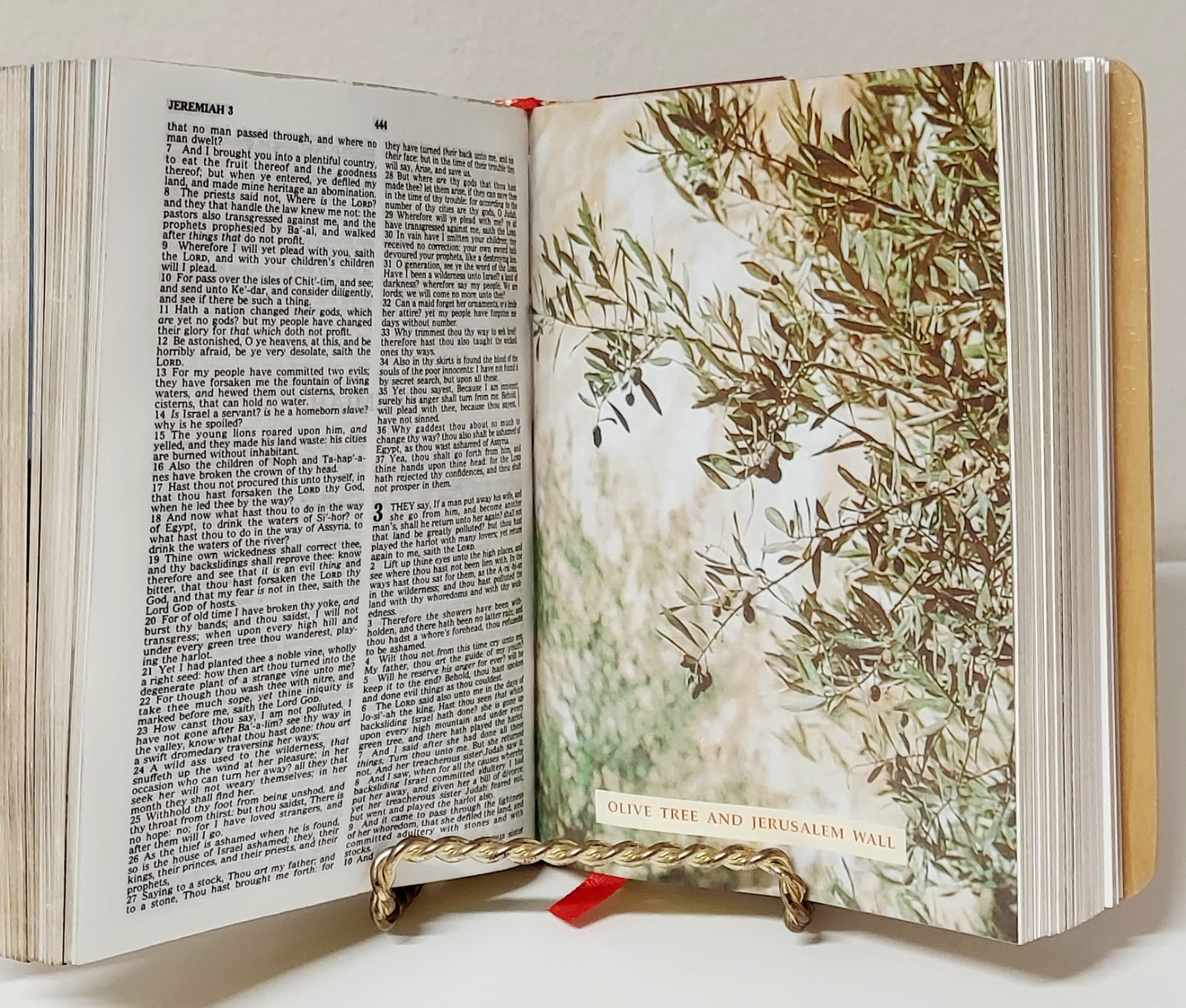 NEW! Vintage Leather Trinity Broadcasting Network TBN Mrinita Bethlehem Bible
