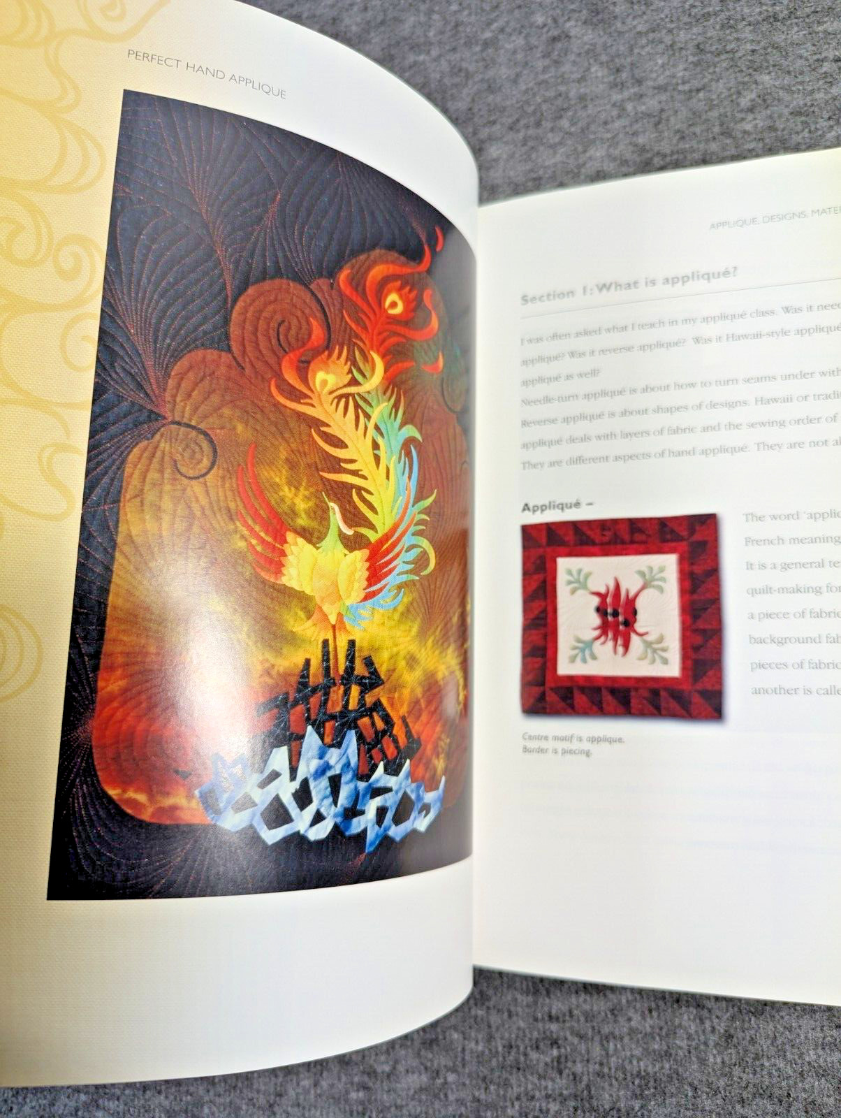 Perfect Hand Applique with Thimblelady + DVD by Liuxin Newman – EX