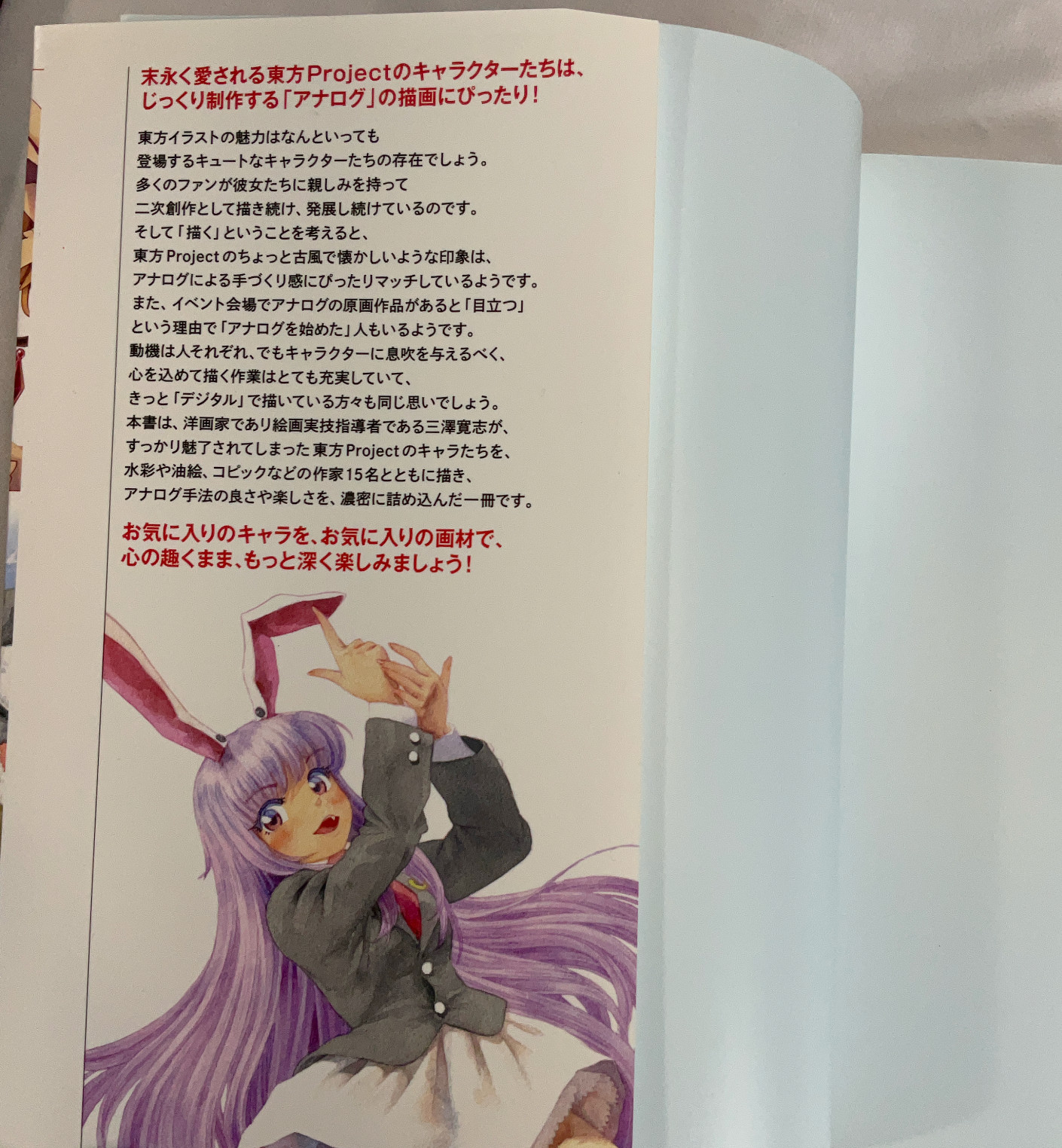 Touhou Illustration Techniques Art Book Japanese Manga Anime Drawing Guide