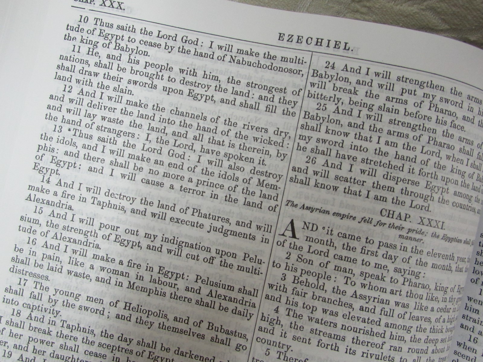 Hardback Douay Rheims Haydock Holy Bible in English