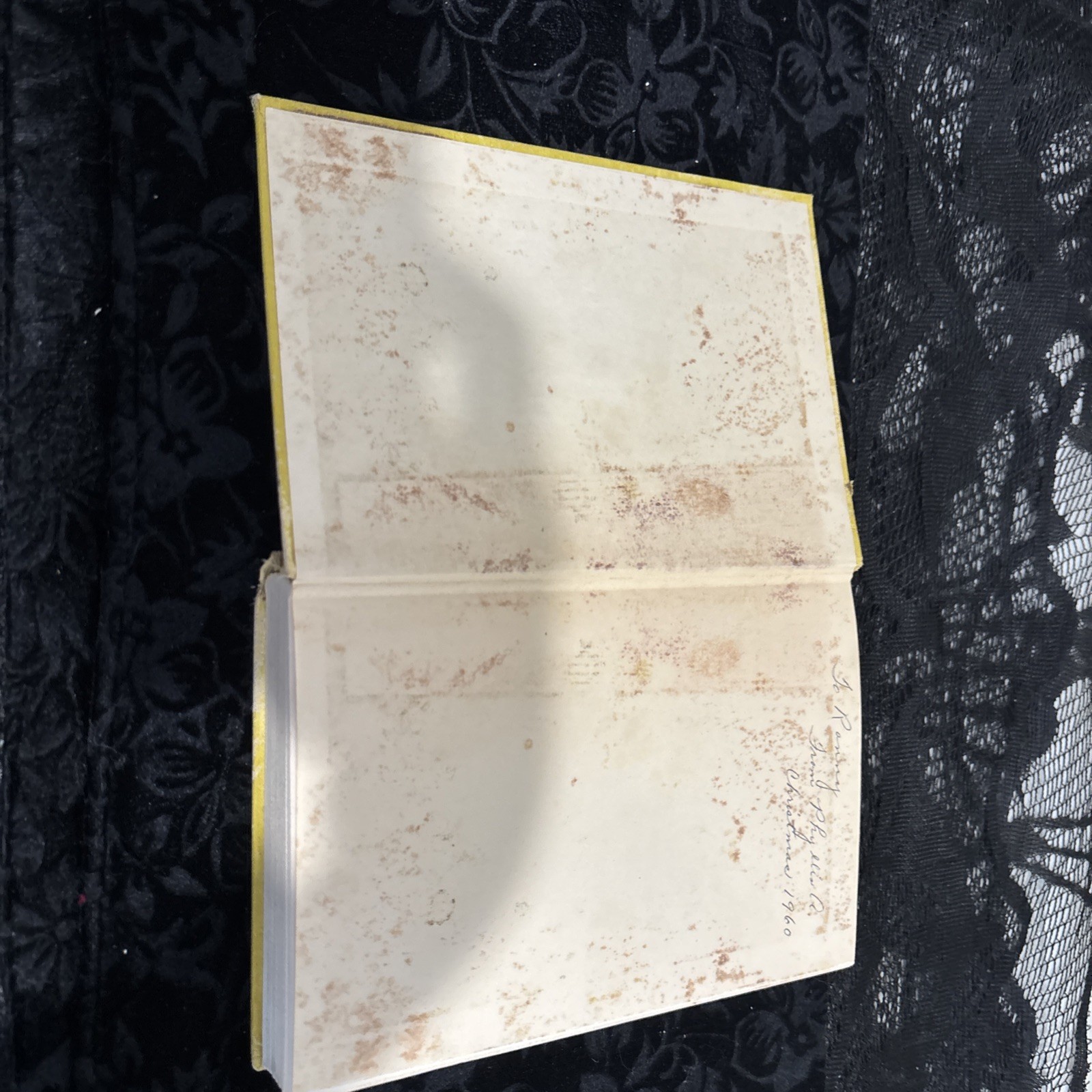 Book. The Young Conquistador by Albert J Nevins 1960. 1st Edition Vintage