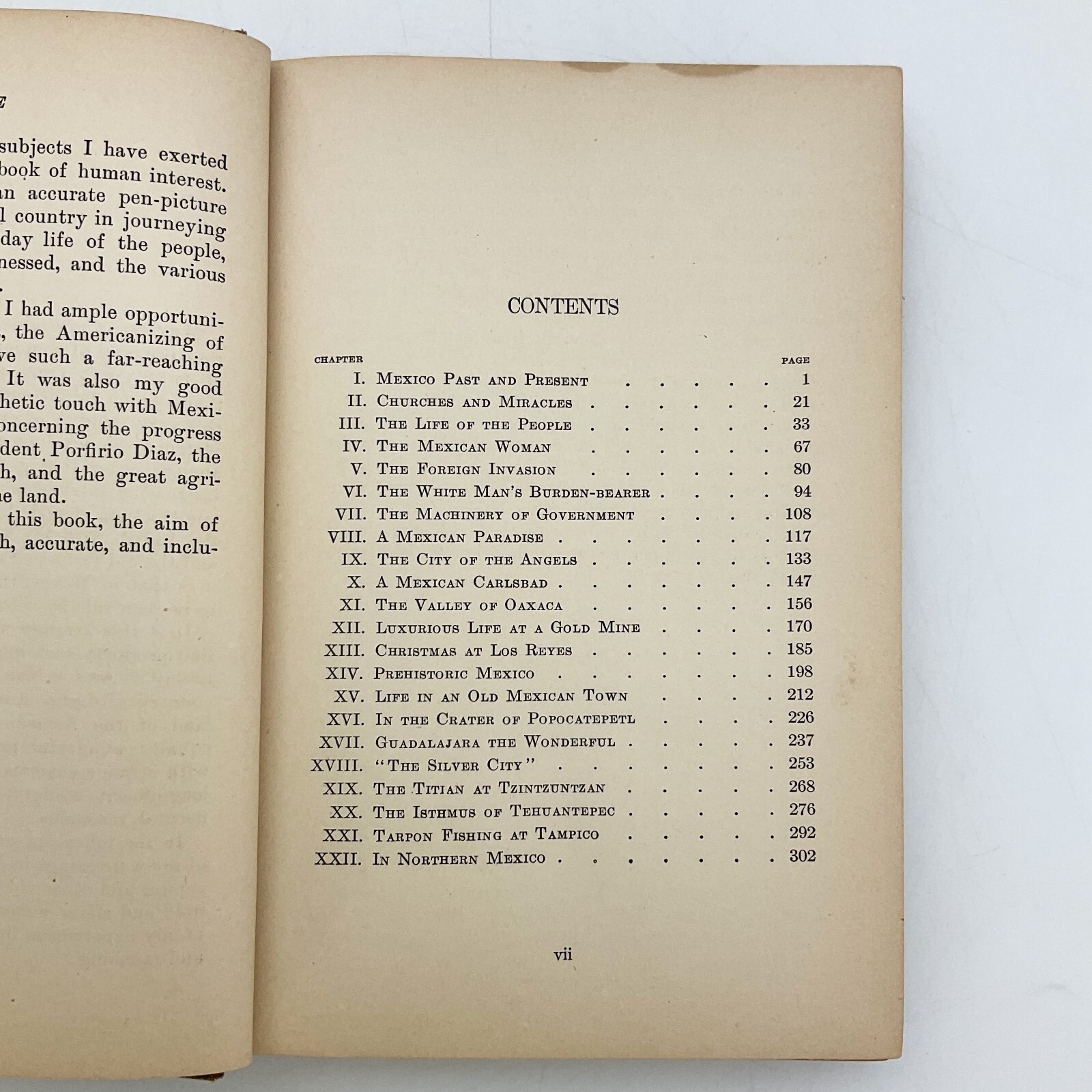 Mexico The Wonderland of the South W E Carson Hardcover Book 1913 Travel Culture